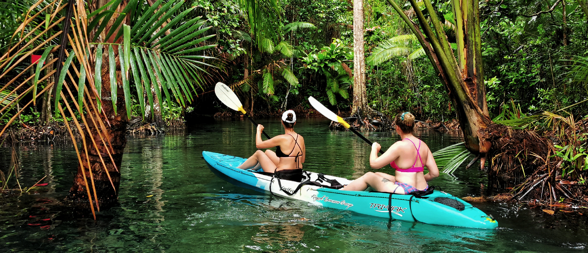 Two women paddle a blue kayak through a clear river in Krabi's lush mangrove jungle.