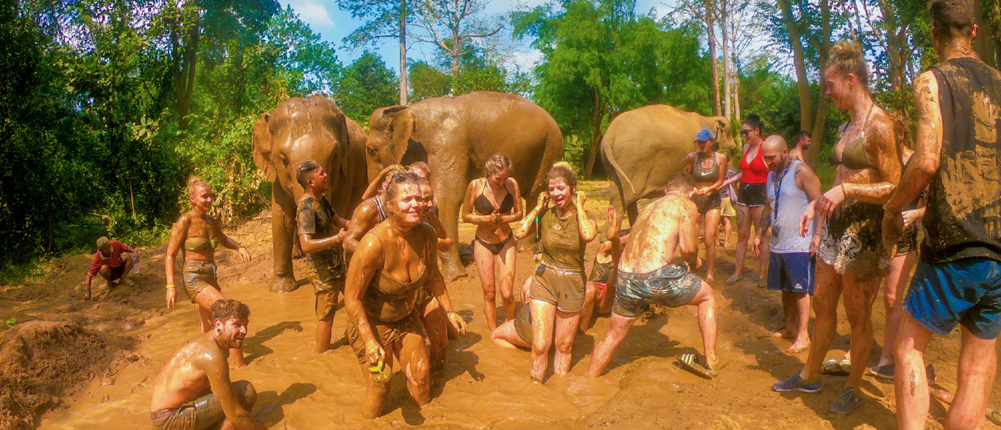 A group of happy people and elephants enjoying a muddy bath at a sanctuary in Kanchanaburi.