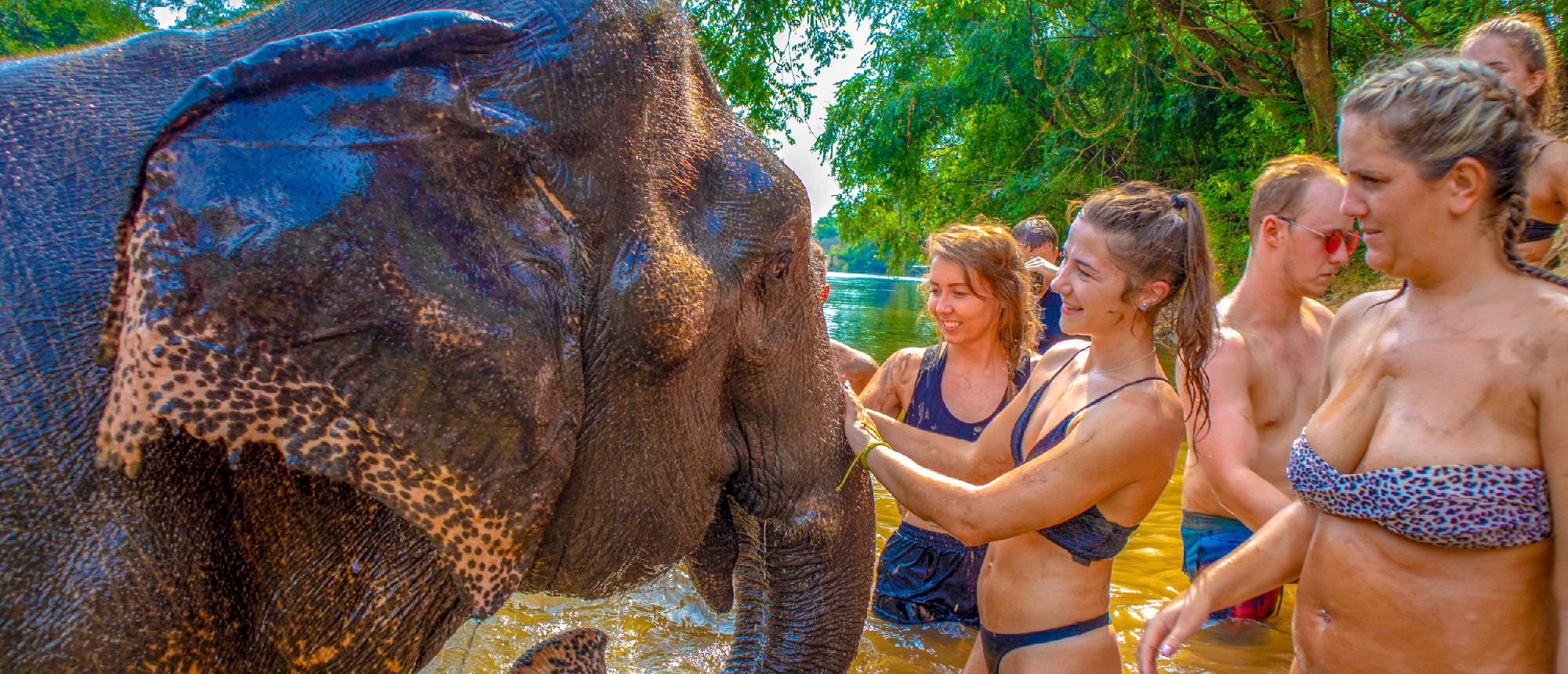Joyful tourists bathe a large elephant in a muddy river at a sanctuary in Kanchanaburi, Thailand.