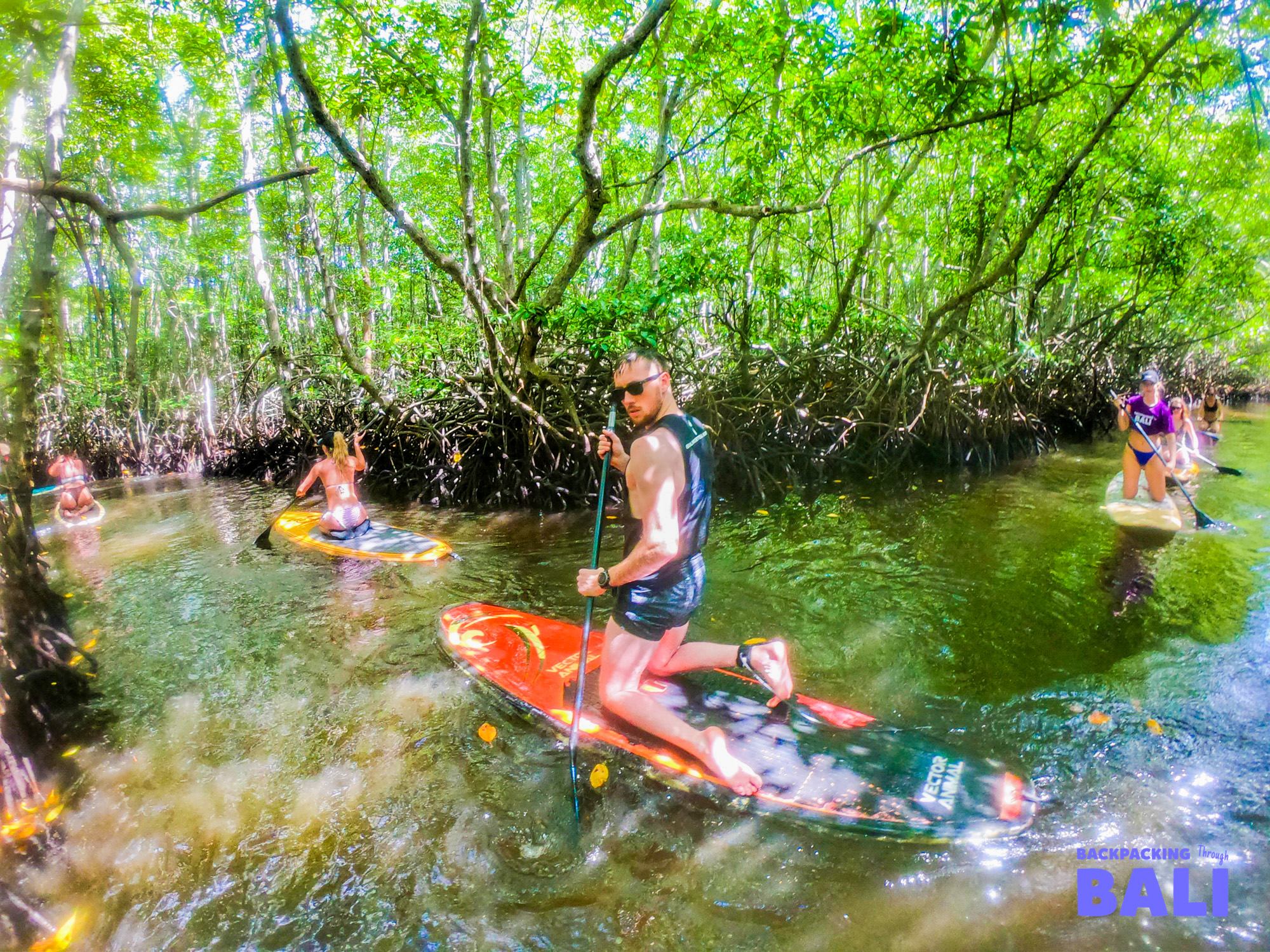 Mangrove SUP, Nusa Lembongan