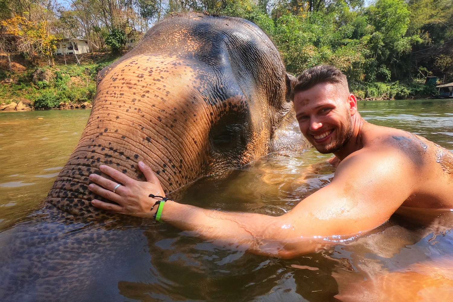 Elephant Sanctuary