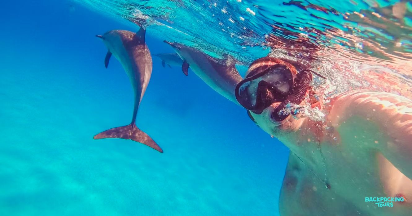 Swimming with Dolphins!