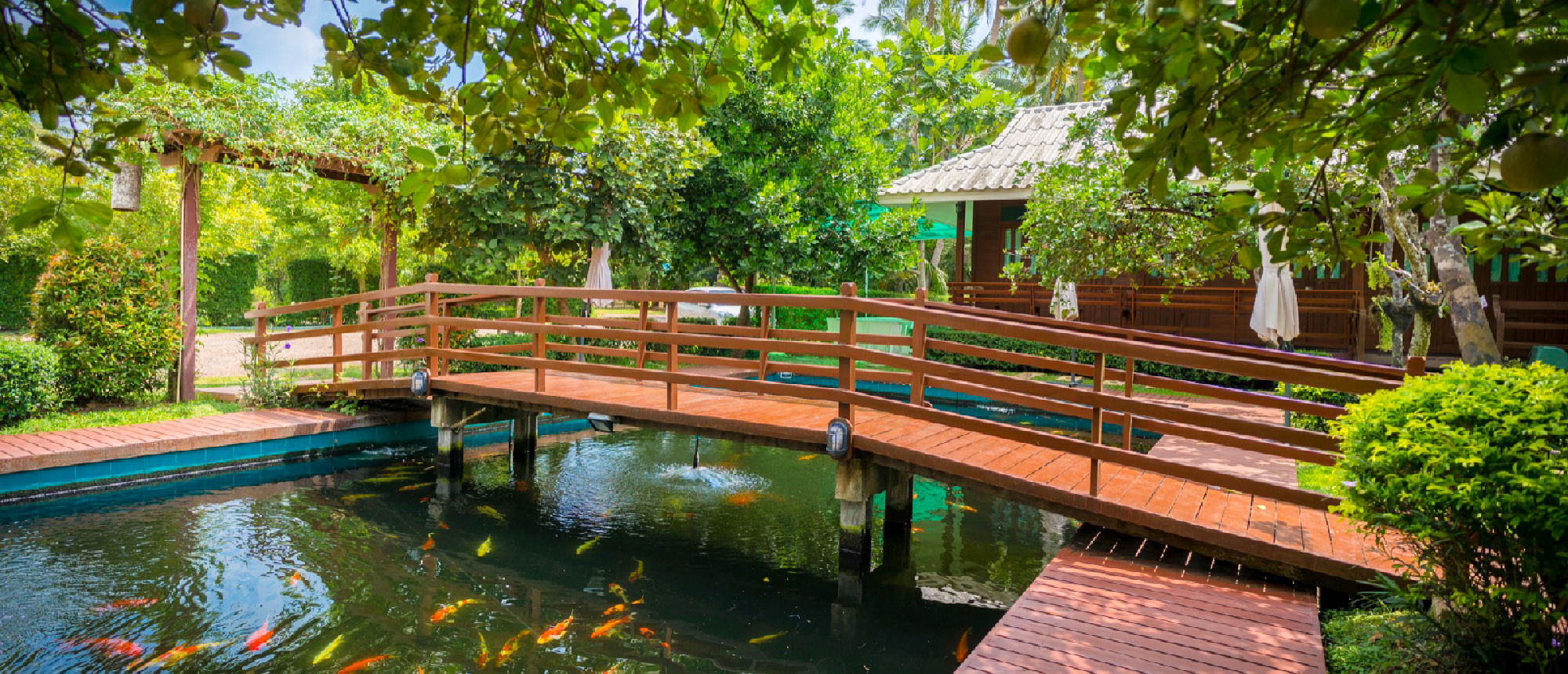 A beautiful wooden bridge crosses a koi pond at a tranquil homestay in Amphawa, Thailand.