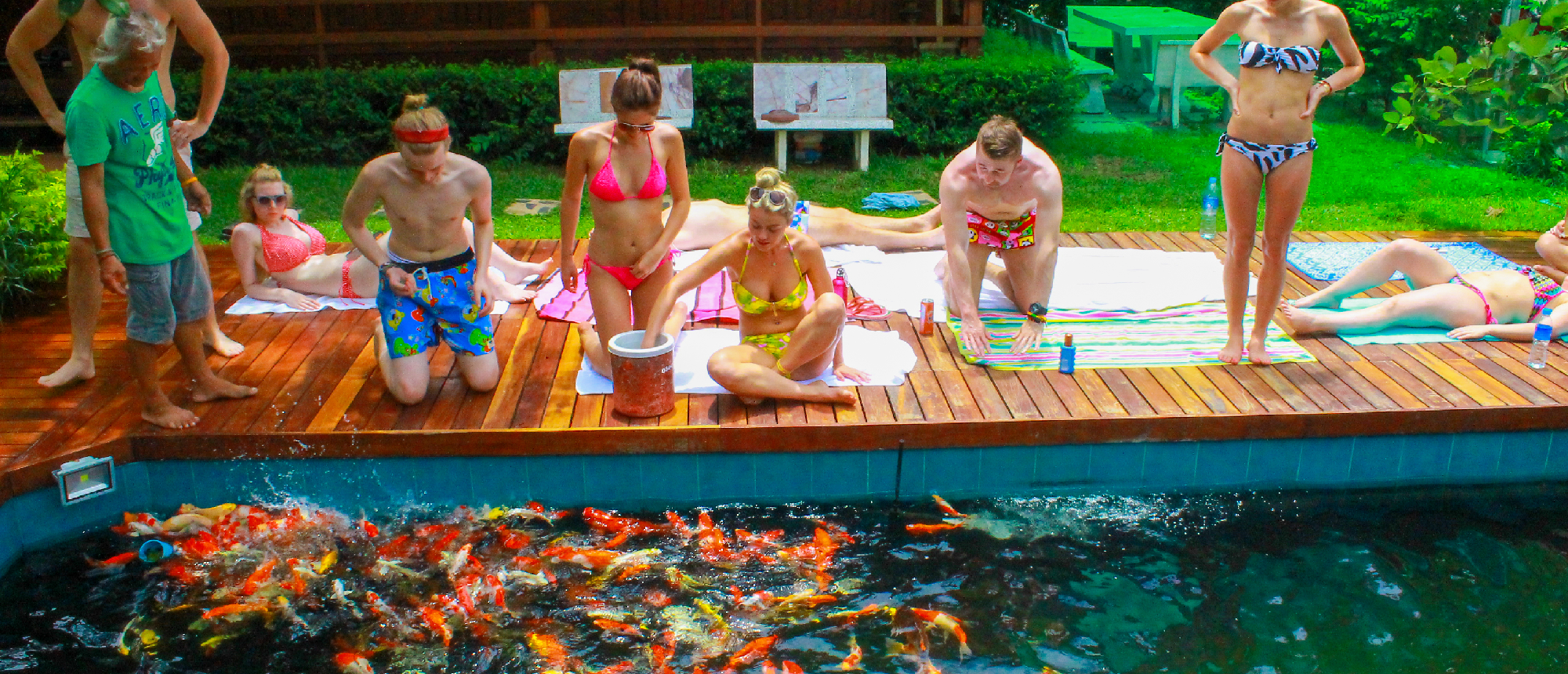 Tourists relax on a wooden deck, some feeding colorful koi fish in a pond in Amphawa, Thailand.