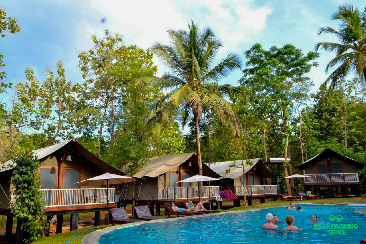Guests relax by the inviting pool and glamping tents nestled among lush tropical trees in Sri Lanka.