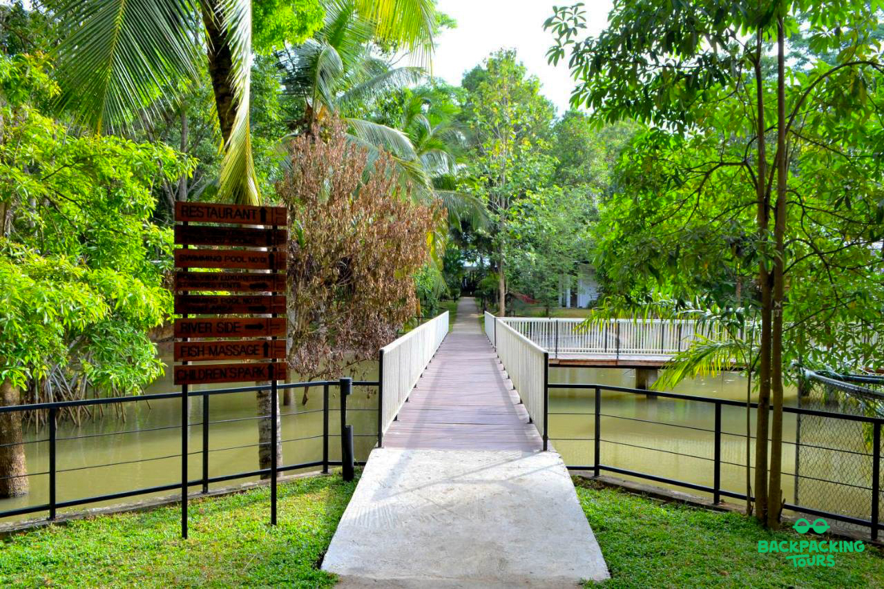 A wooden walkway extends over calm water, surrounded by lush tropical greenery in Weligama, Sri Lanka.