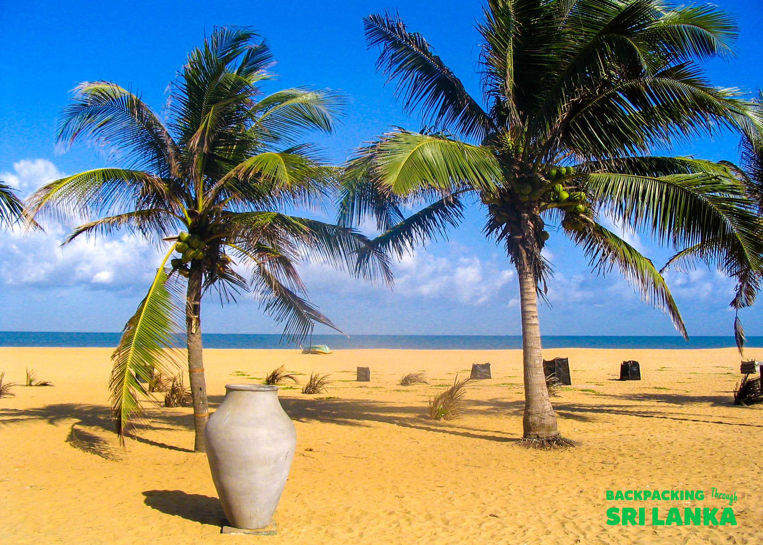 A serene beach scene in Colombo, Sri Lanka, with palm trees and a large pot.