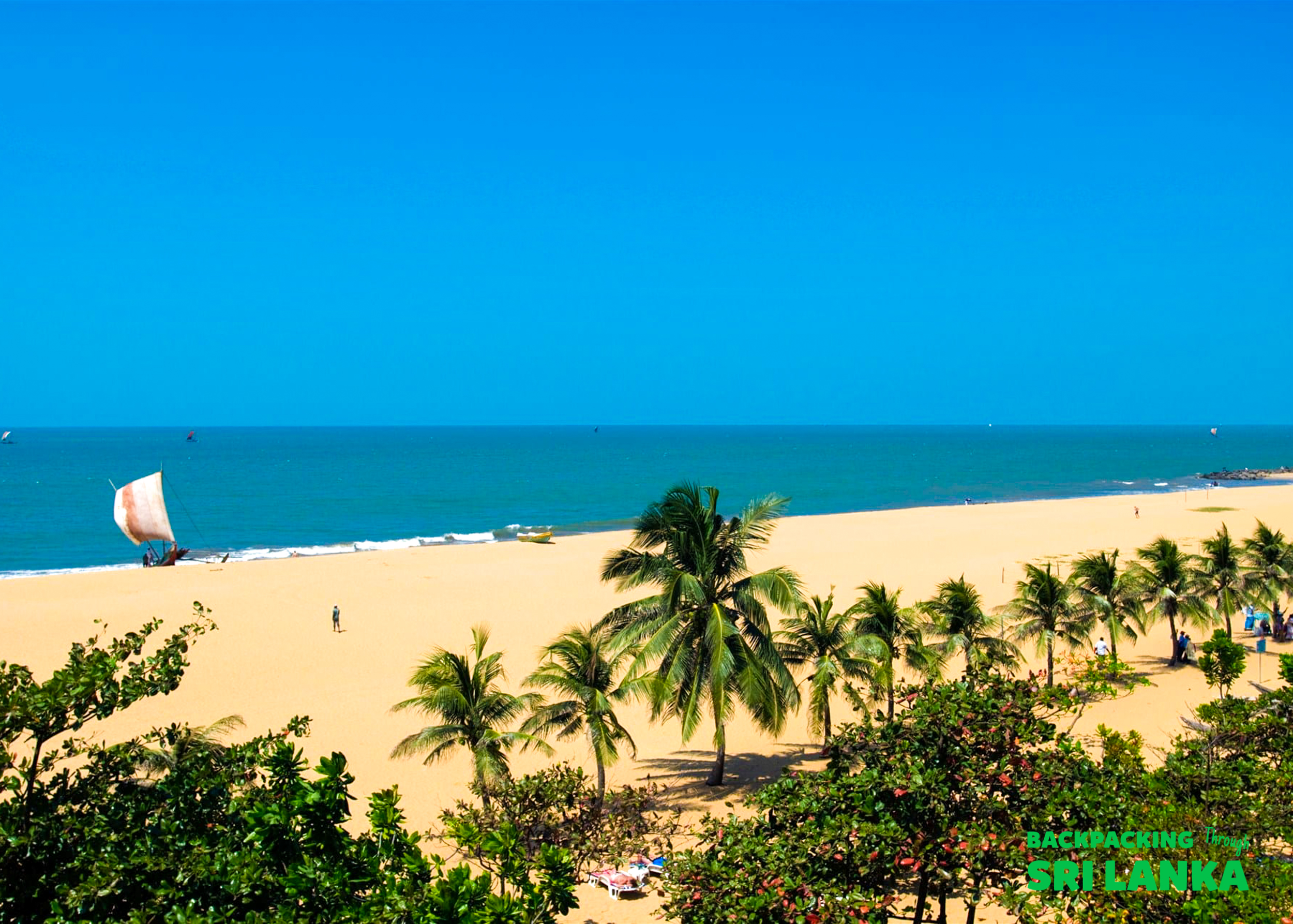 Golden sands of Weligama Beach in Sri Lanka, lined with palm trees and a traditional sailboat.