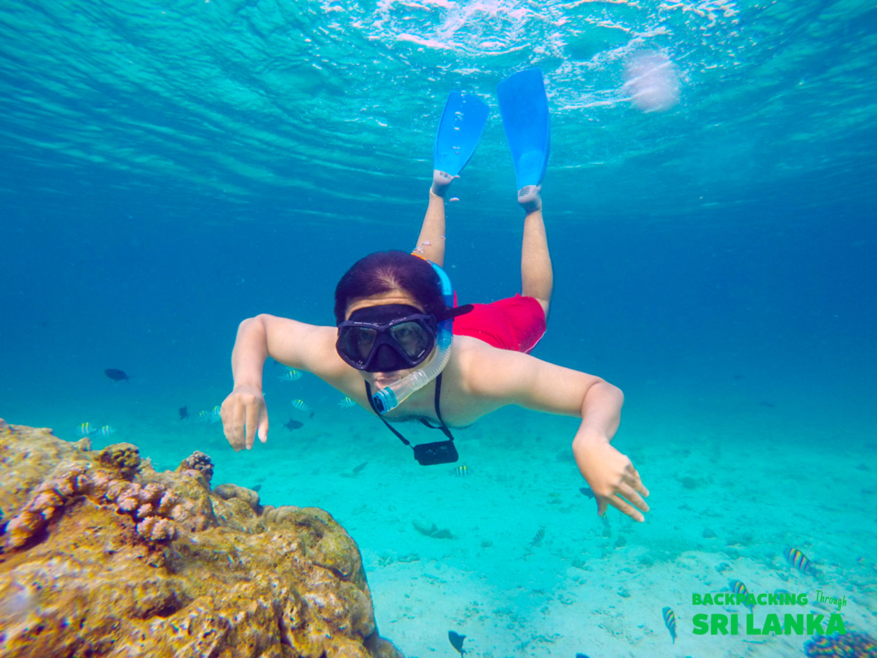 A person in a snorkel mask and blue fins explores the clear blue waters of Unawatuna, Sri Lanka.