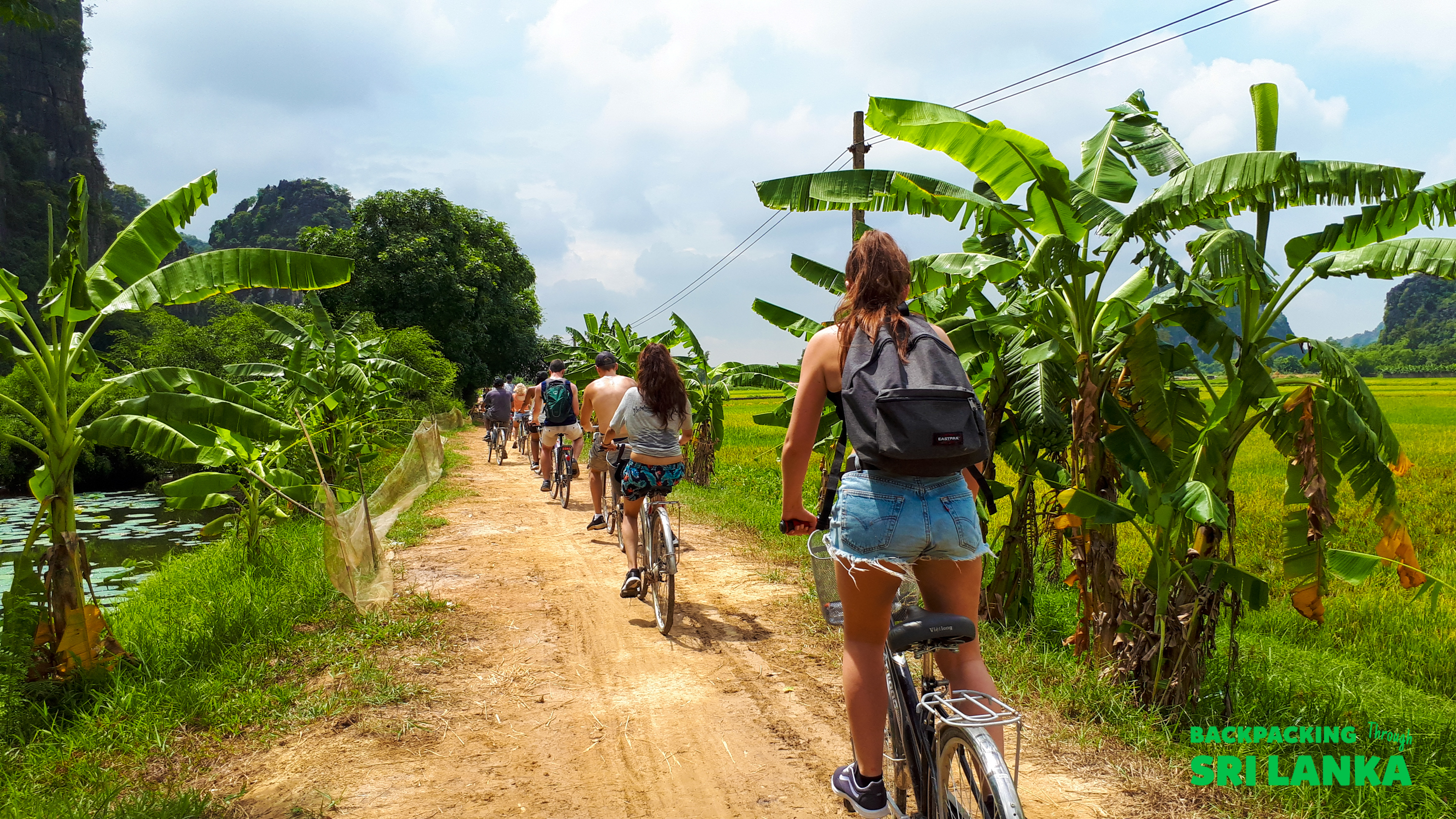 A group of backpackers cycles along a winding dirt path amidst vibrant Sri Lankan rice fields.