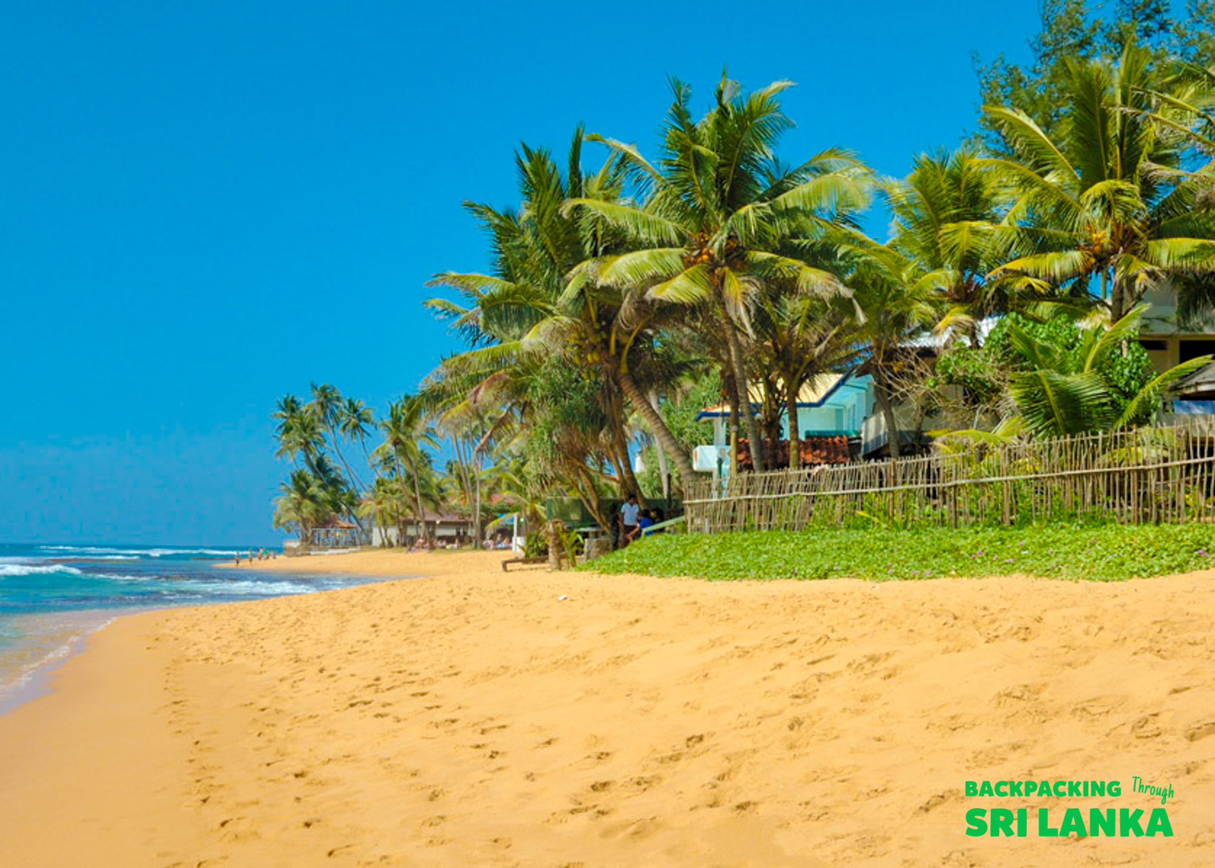 Stunning Unawatuna beach with golden sand, vibrant palm trees, and gentle waves under a clear sky.