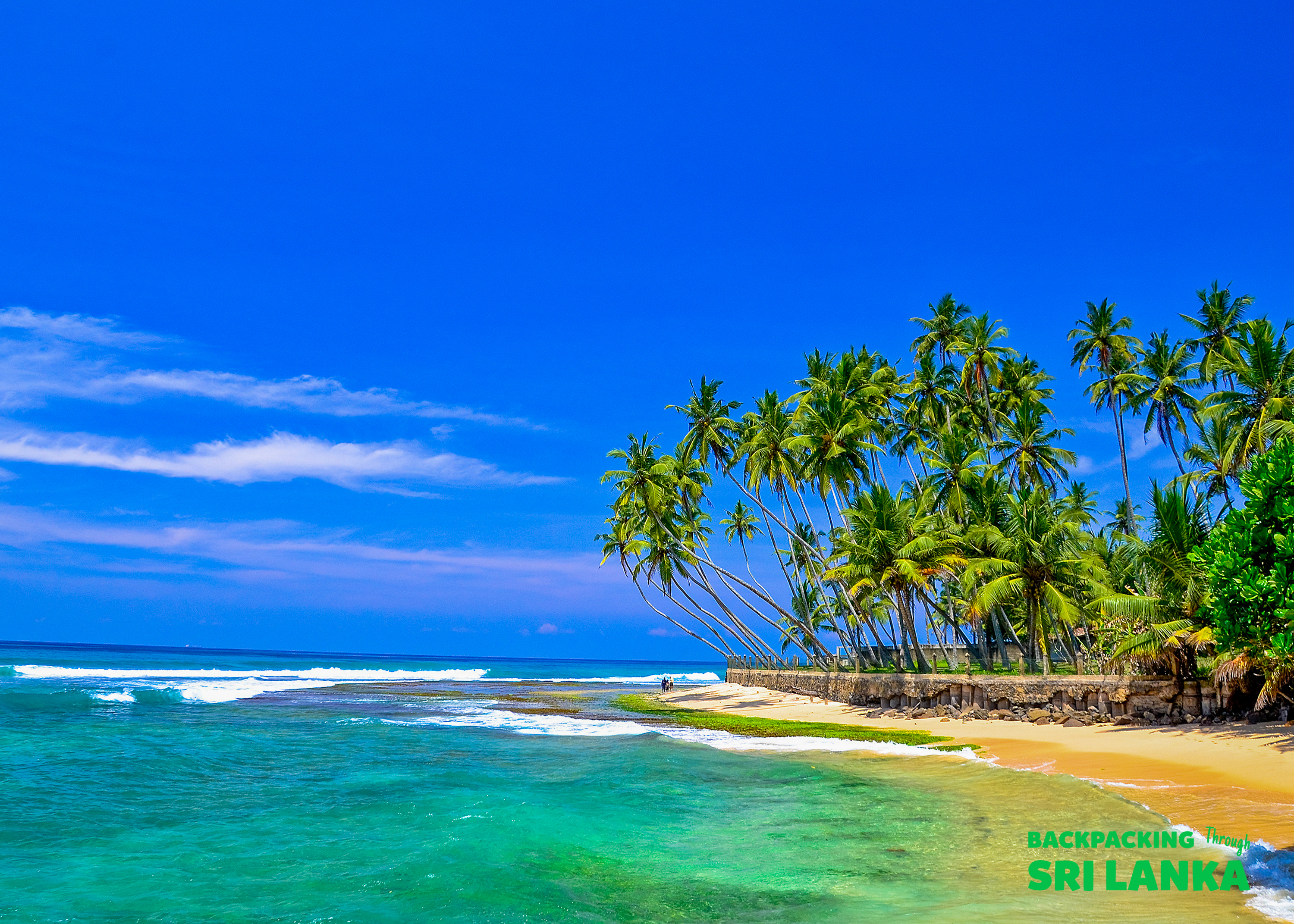 Palm trees lean over a pristine sandy beach with turquoise waves under a clear blue sky in Sri Lanka.