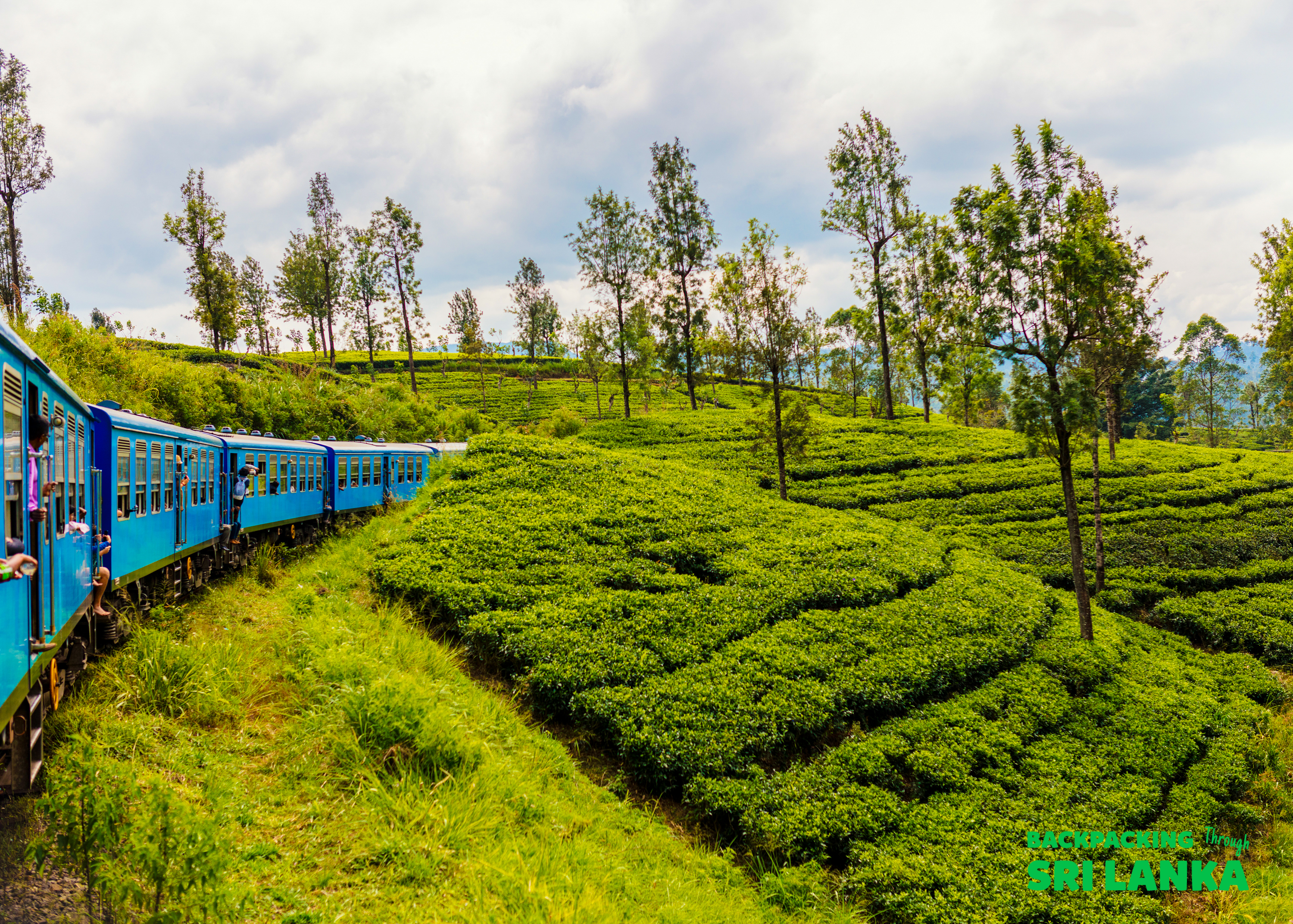 A bright blue train curves through the stunning green tea plantations of Ella, Sri Lanka.