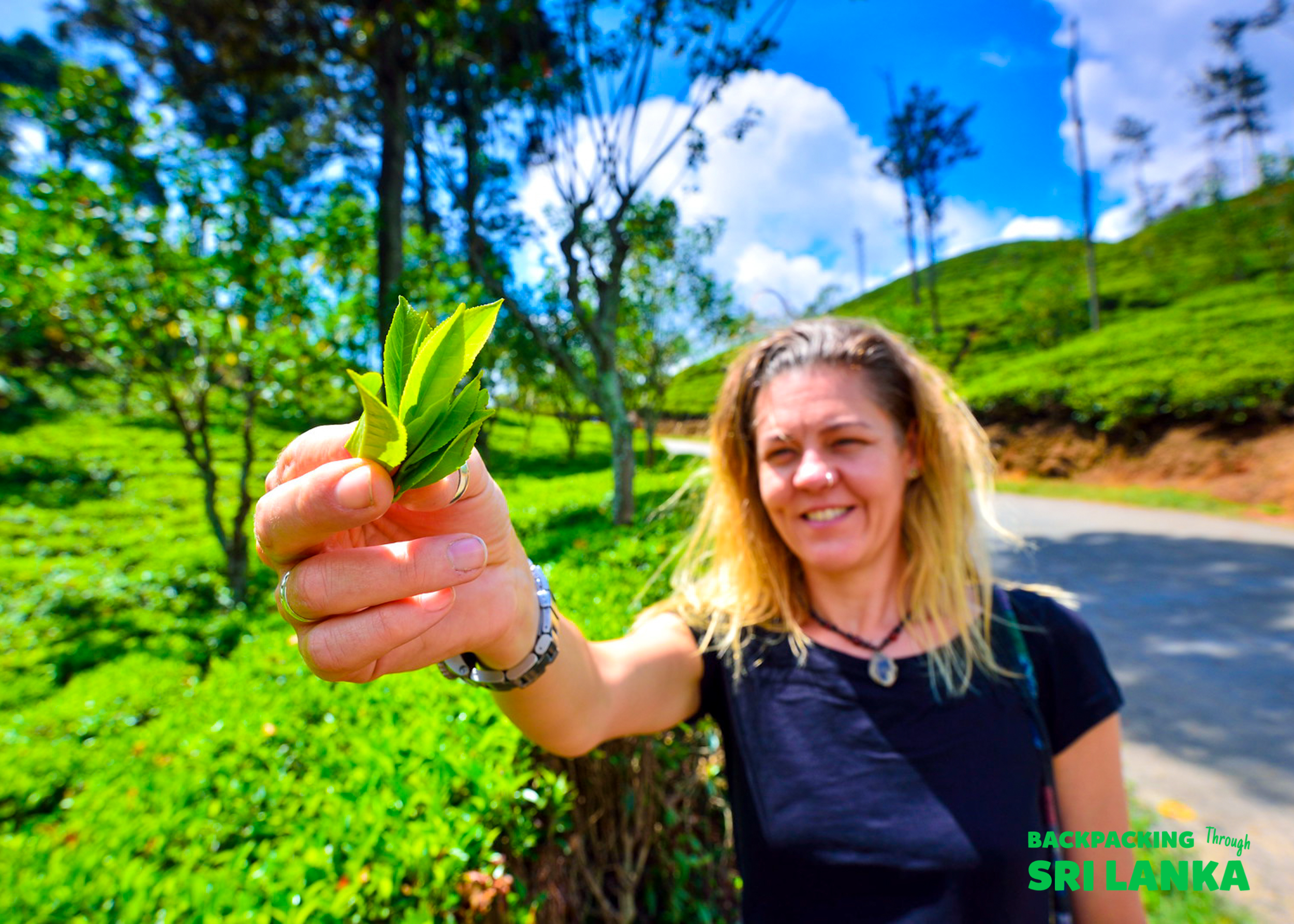 A smiling woman holds fresh tea leaves towards the camera in a lush tea plantation in Sri Lanka.