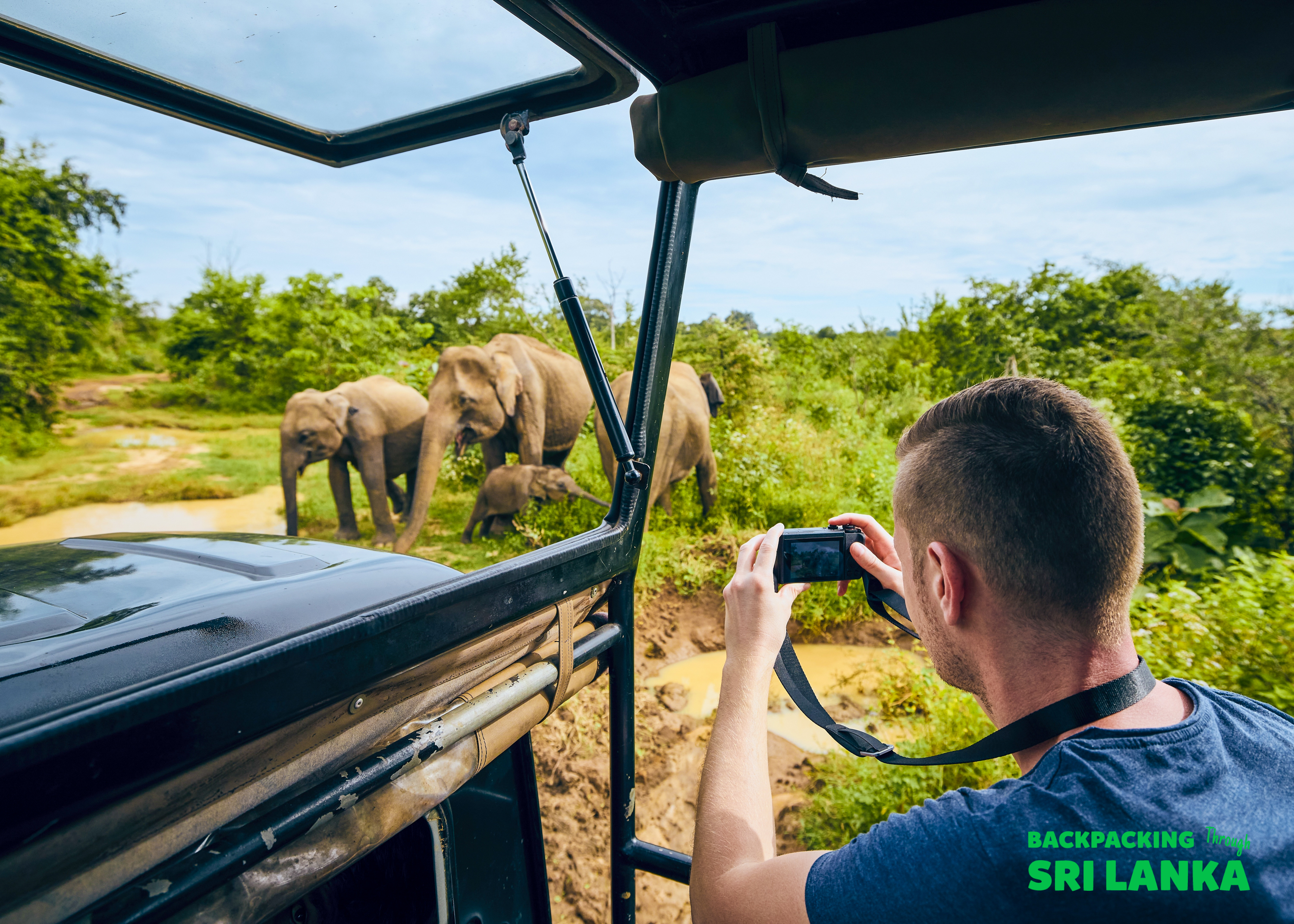 A tourist photographs a family of wild elephants from a safari jeep in Sri Lanka.