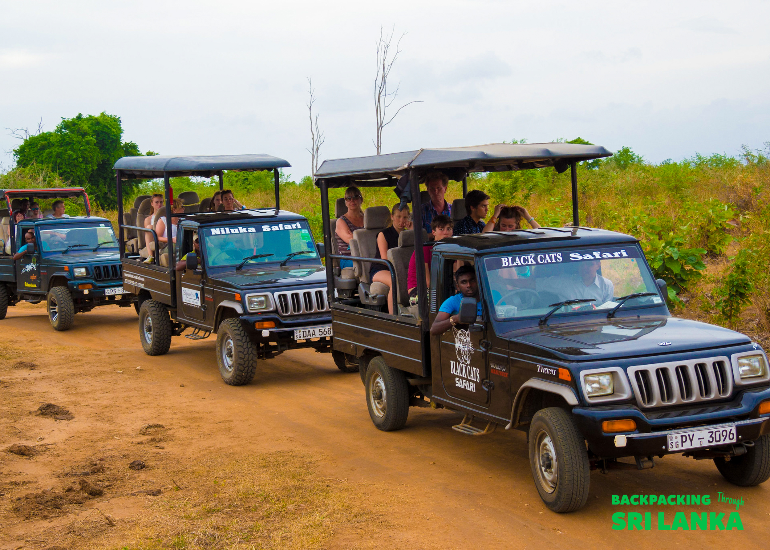Adventurous travelers enjoy a thrilling jeep safari through the natural landscapes of Sri Lanka.
