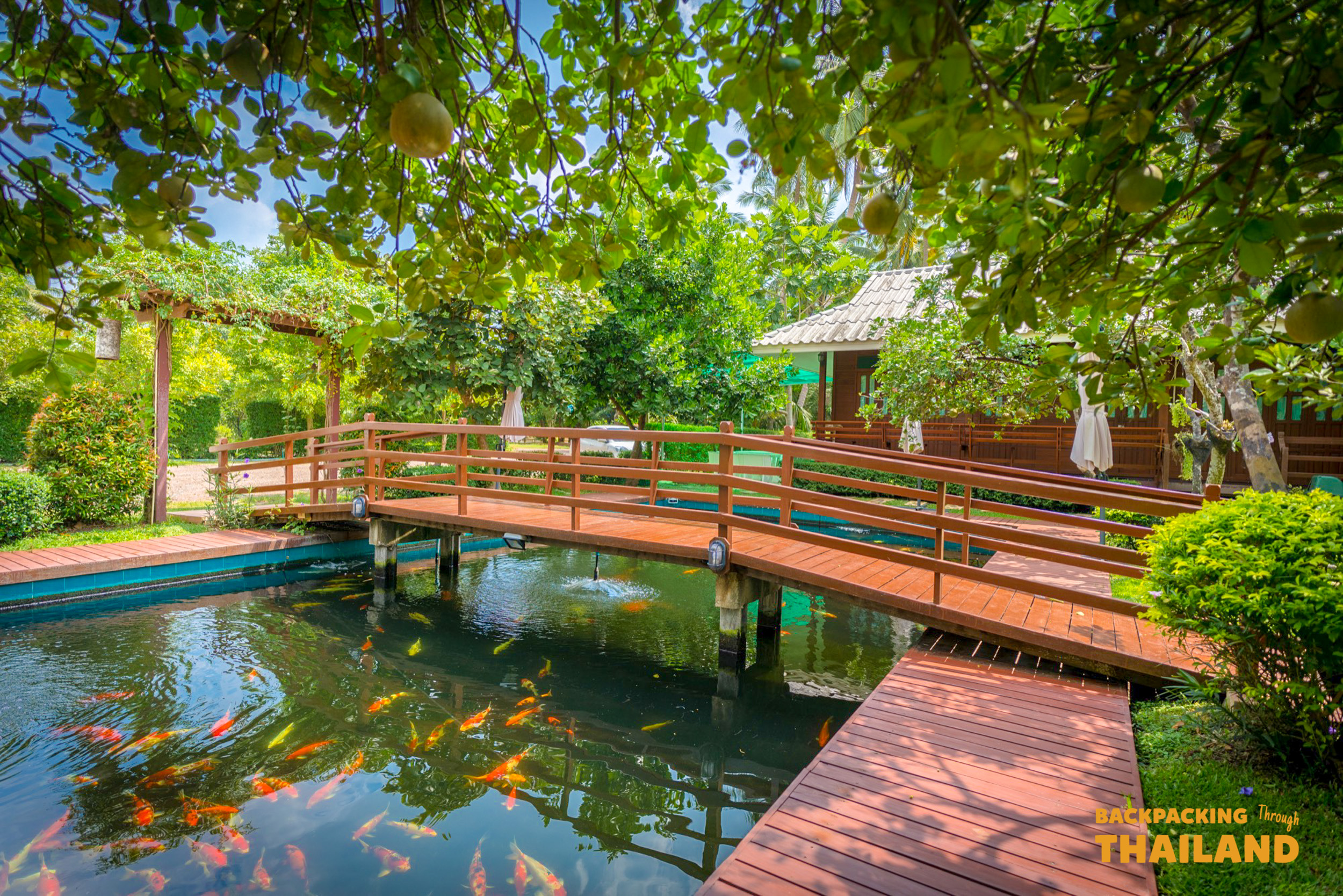 A charming wooden bridge crosses a koi pond at a tranquil homestay in Amphawa, Thailand.