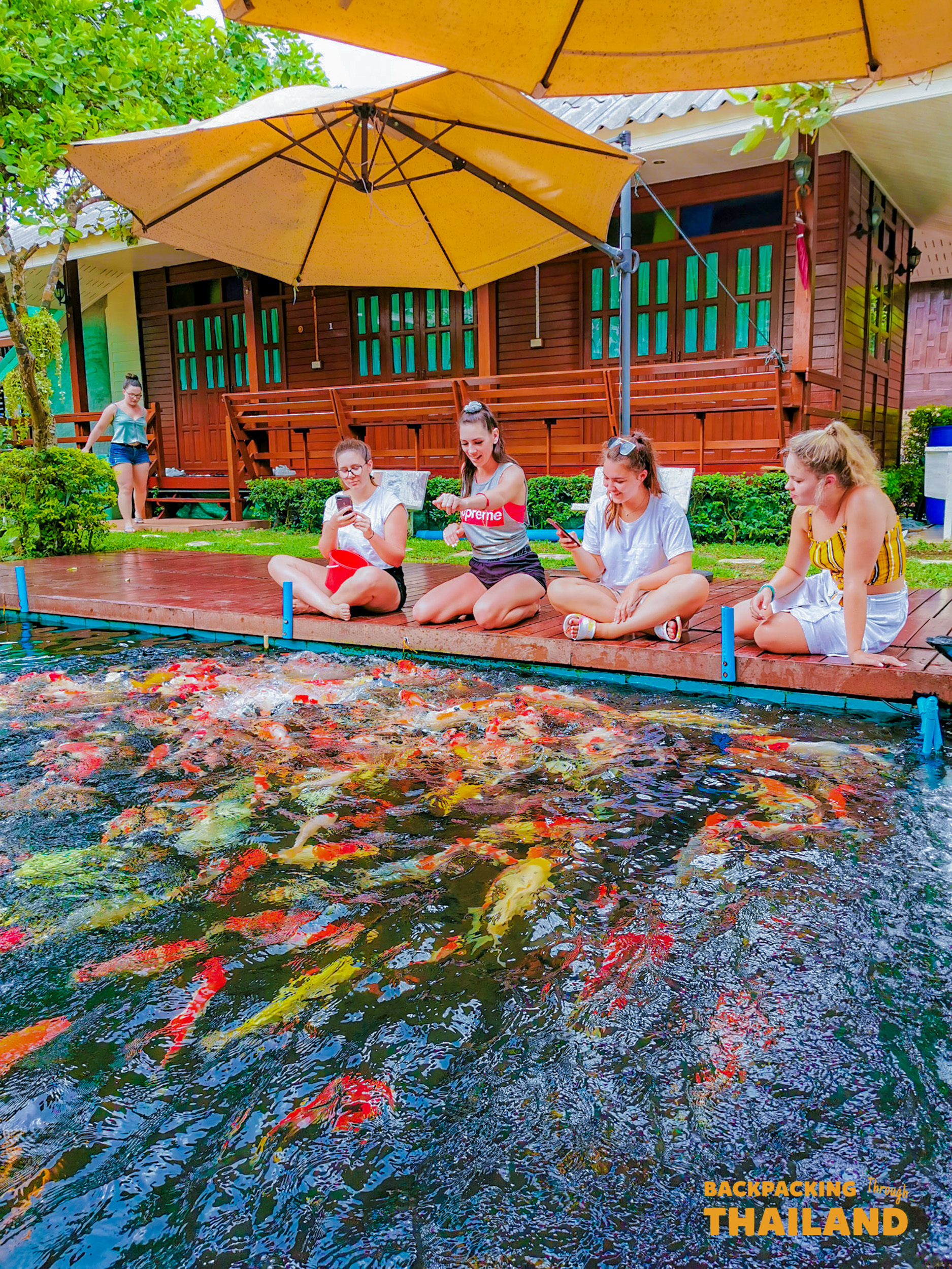 Four women relax on a wooden deck, feeding vibrant koi fish at a homestay in Amphawa, Thailand.
