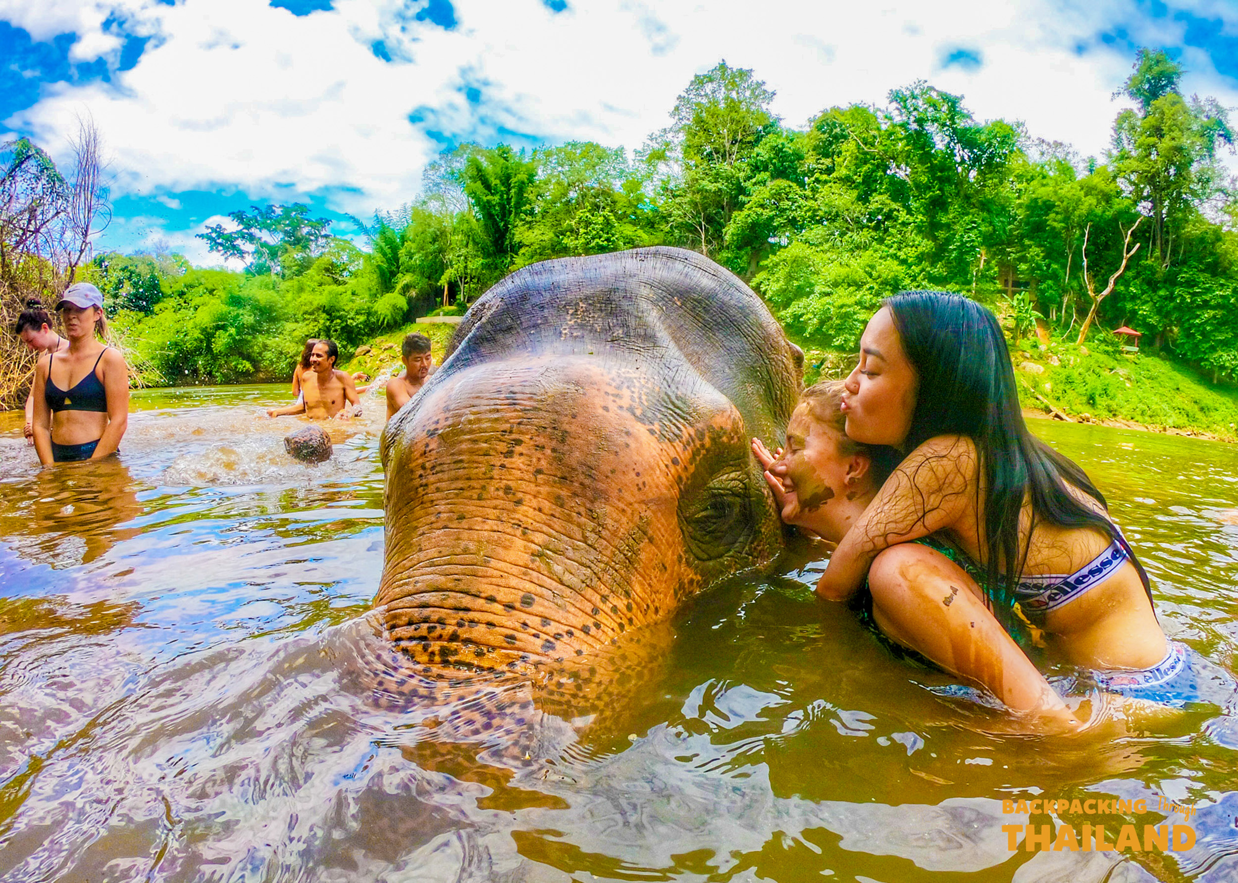 Happy travelers enjoy bathing a majestic elephant in a muddy river at a Thai sanctuary.