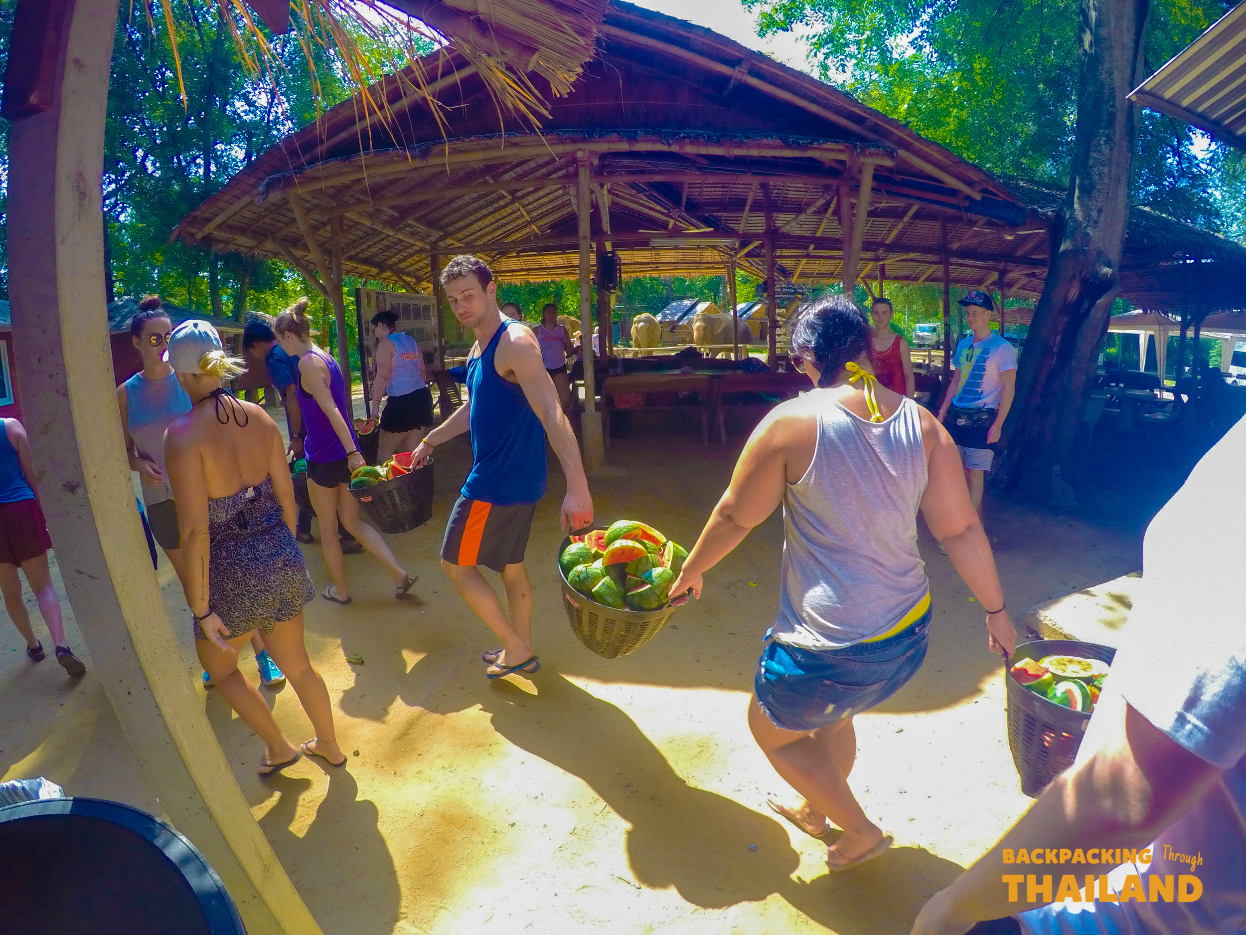 Backpackers carry large baskets of fruit to feed elephants at a sanctuary in Thailand.