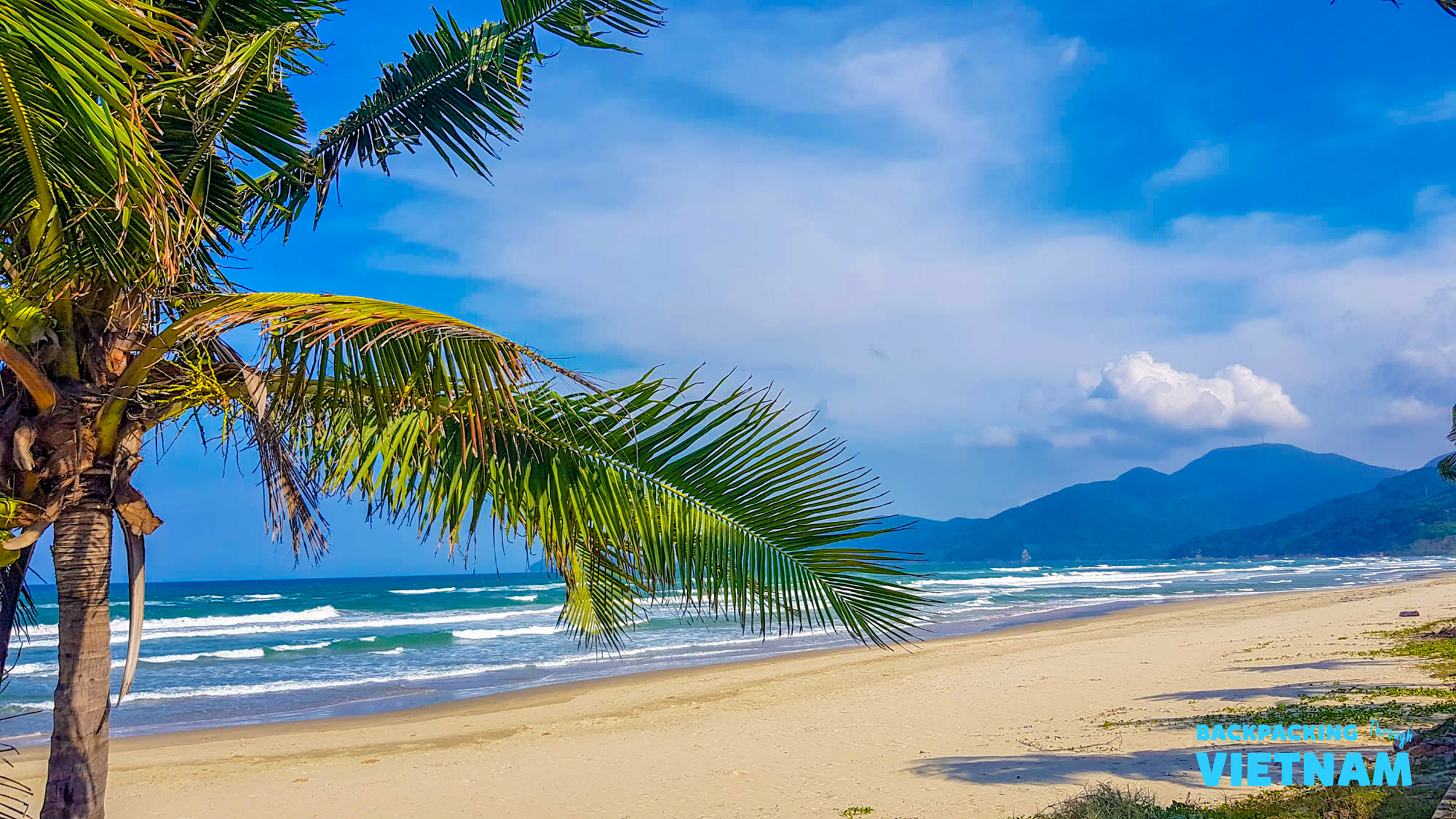Stunning Vietnamese coastline with a palm tree, wide sandy beach, gentle waves, and distant mountains.