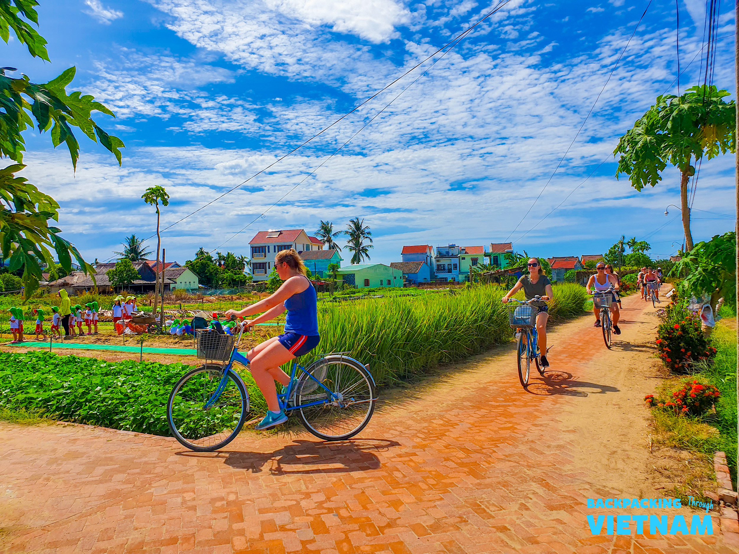 Backpacking group cycling through rice paddies in Hoi An