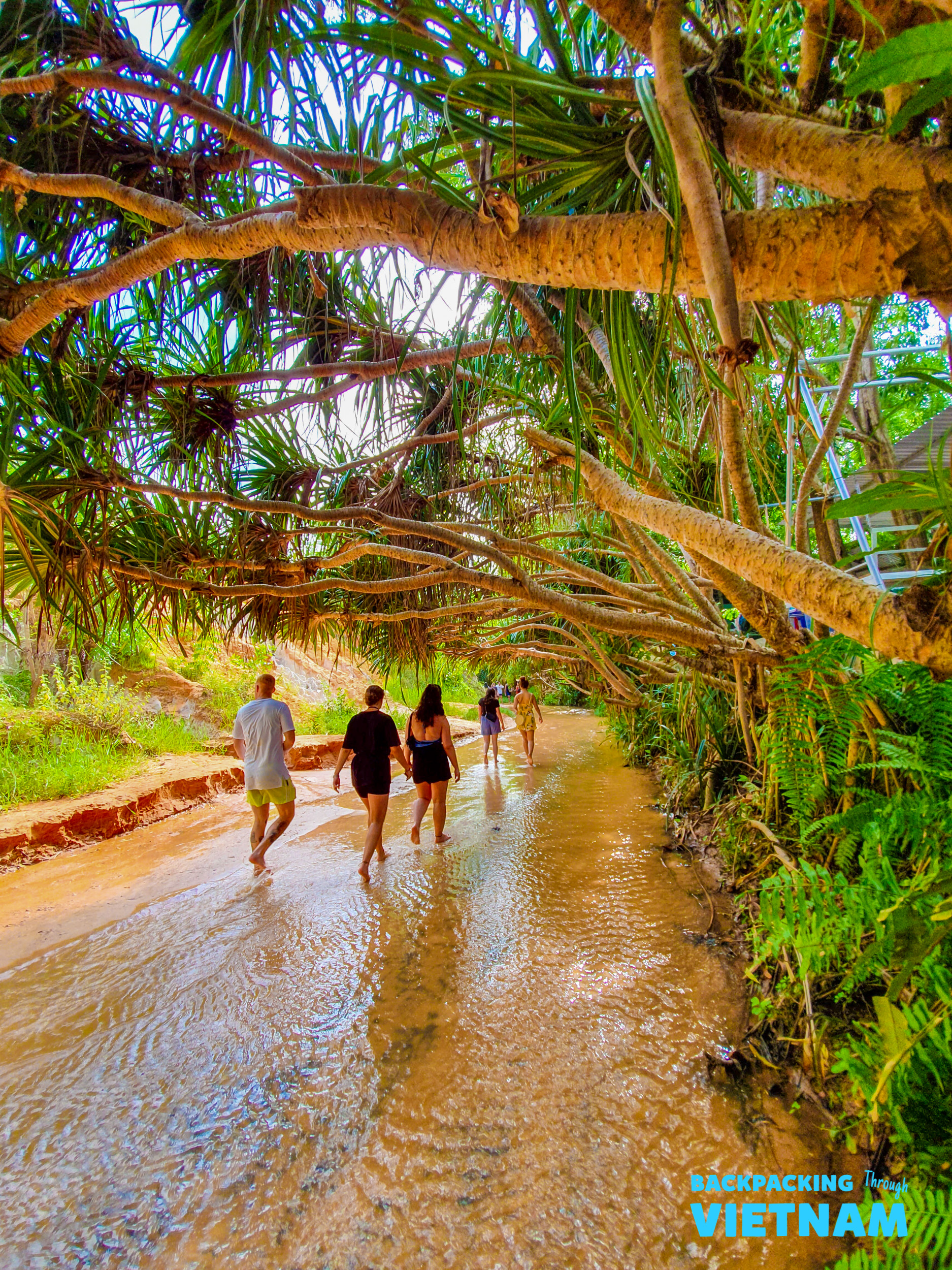 Tourists walk barefoot through the shallow Fairy Stream in Mui Ne, Vietnam, under a leafy canopy.