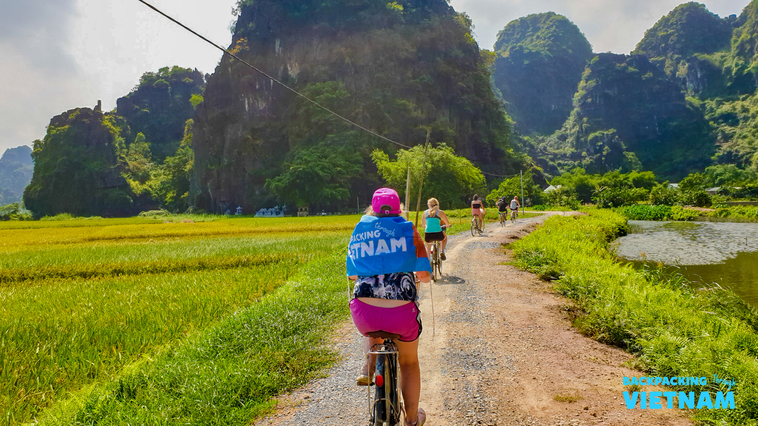 Backpacking group cycling through rice fields in Ninh Binh