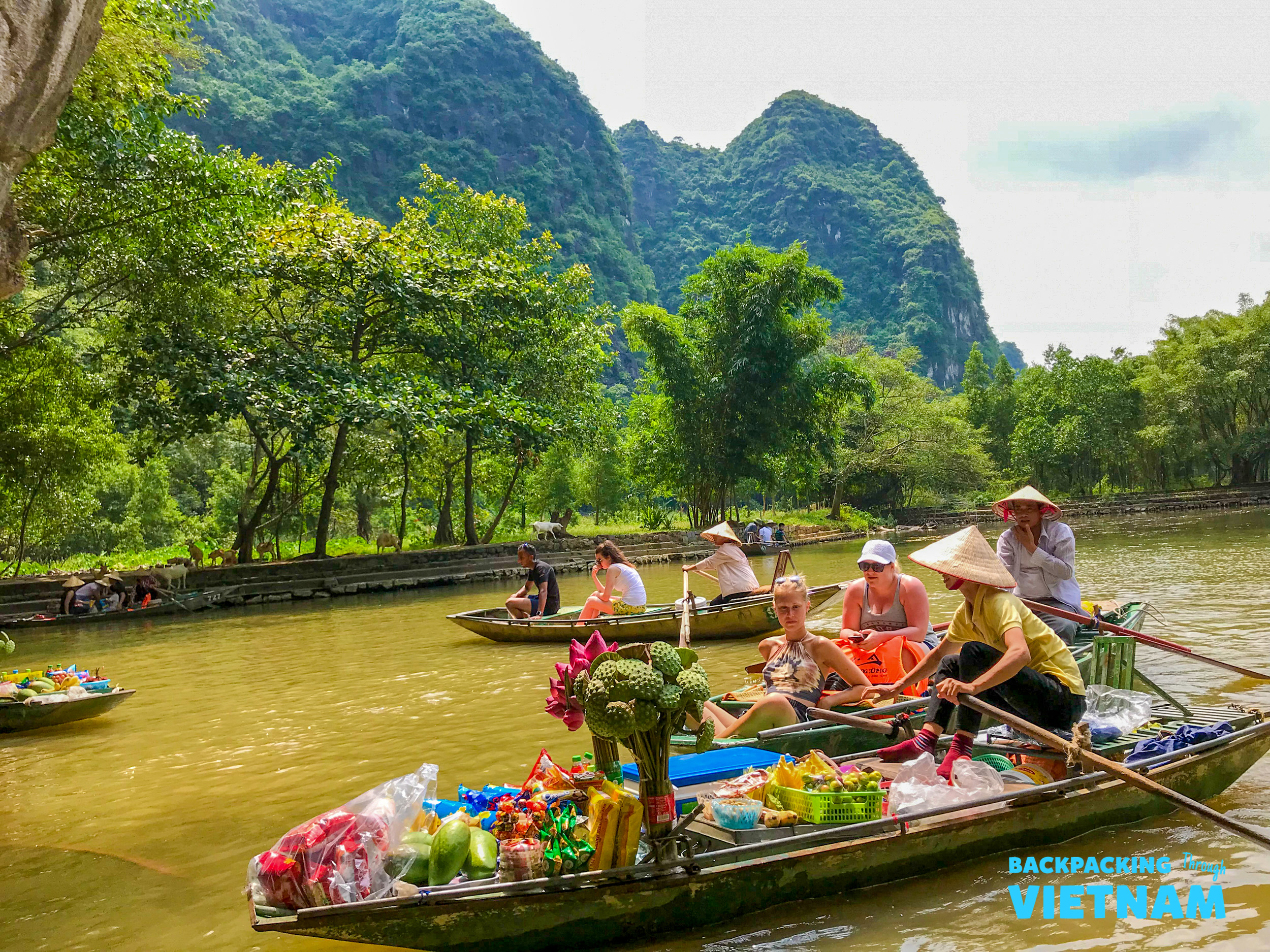 Tourists on a serene river tour in Tam Coc, surrounded by majestic limestone mountains and lush trees.