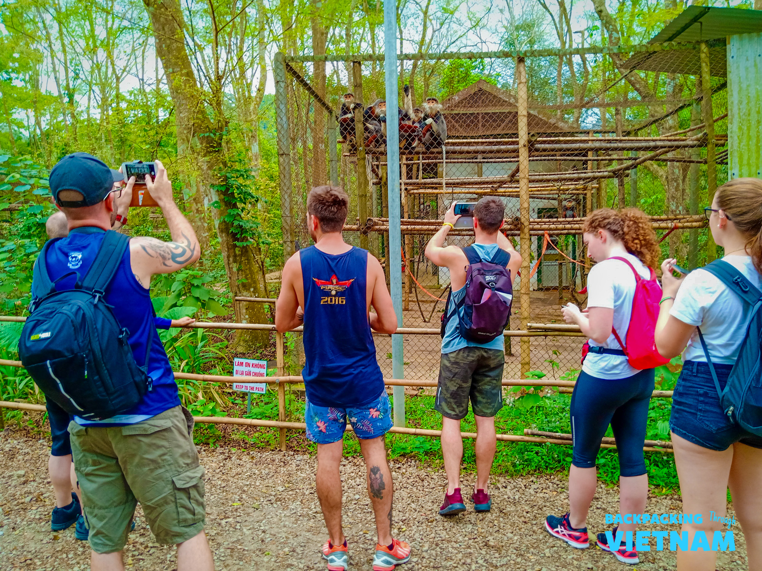 Backpackers photograph primates in their enclosure at the Endangered Primate Rescue Centre in Phong Nha.
