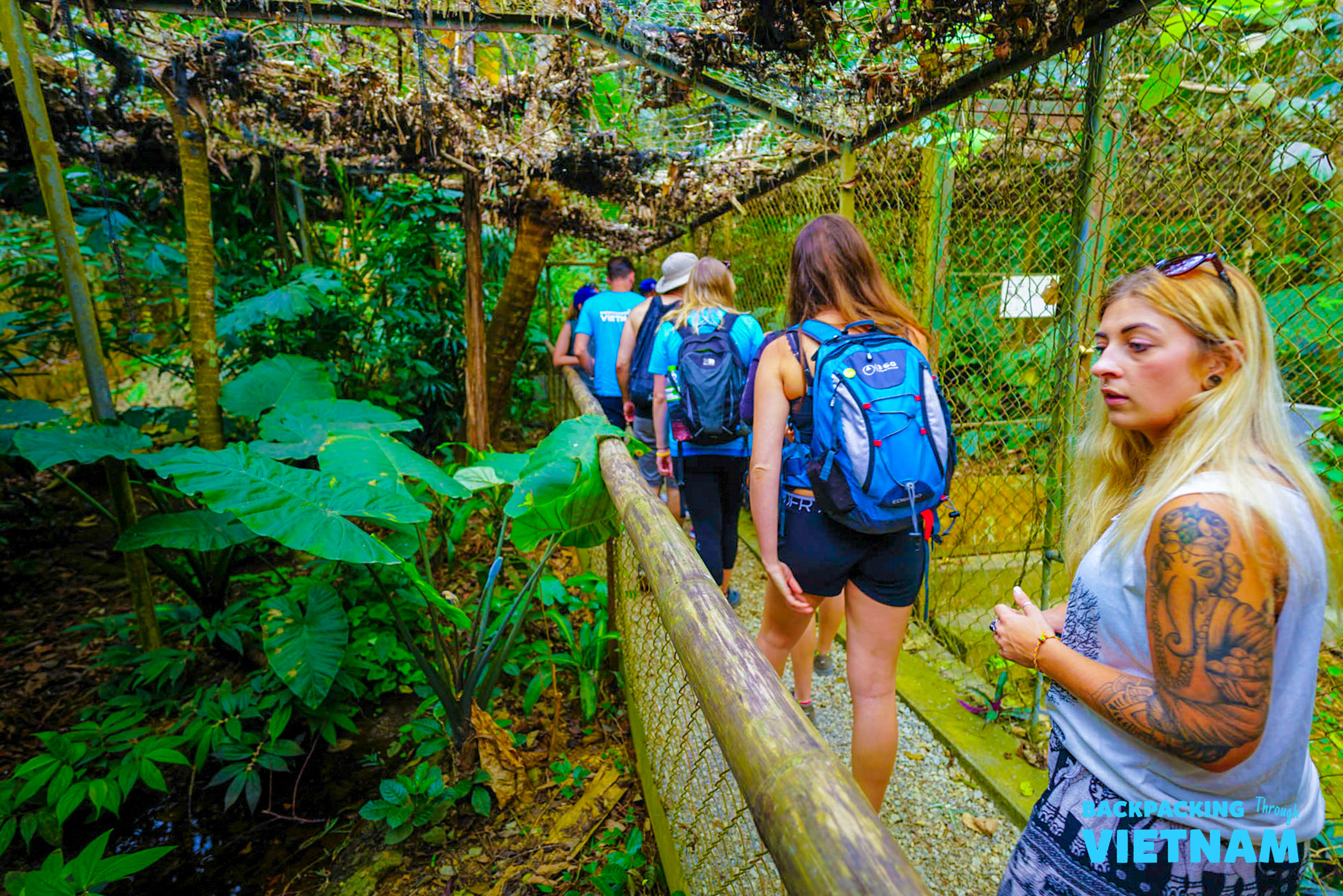Backpackers trek through a lush jungle enclosure at the Primate Centre in Phong Nha.