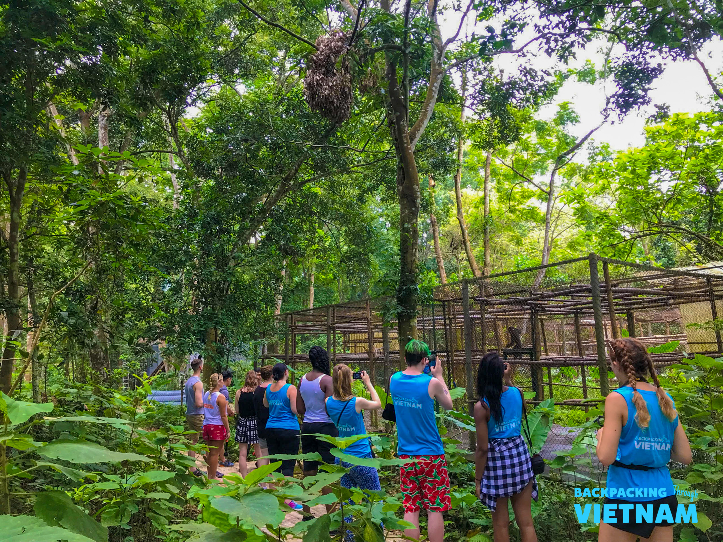 Tourists observe primates in a large enclosure at the Endangered Primate Rescue Centre in Phong Nha.