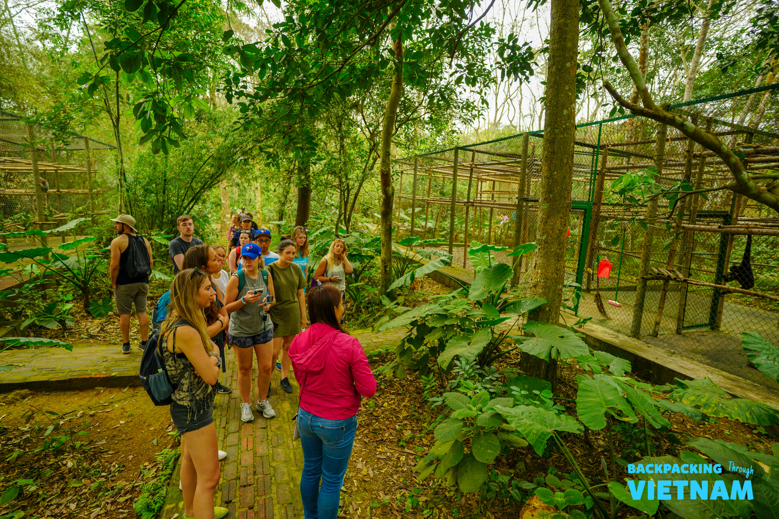 Endangered primate conservation center in Cuc Phuong