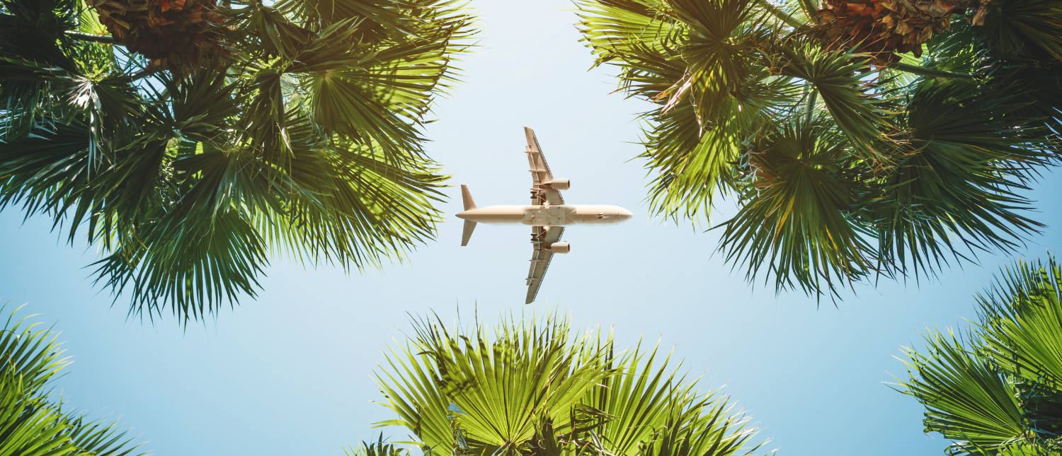 An airplane flying high above lush green palm trees against a bright blue sky.