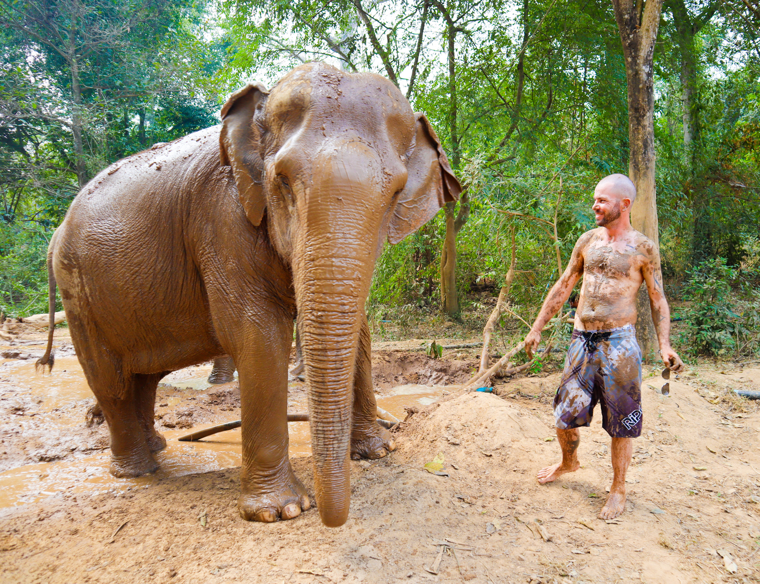 A smiling man and a large elephant covered in mud in a jungle setting in Thailand.