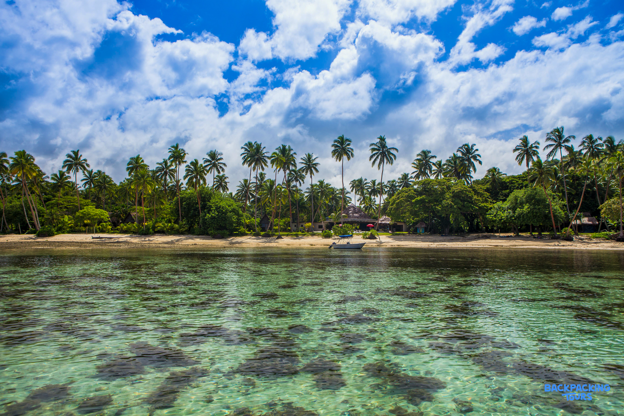 A serene tropical beach in Fiji with clear water, sandy shore, and abundant palm trees.