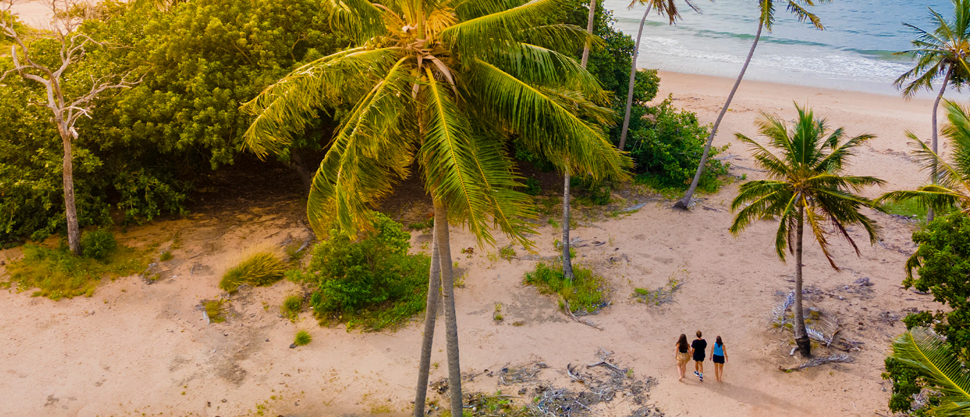 Three people walk along a sandy beach lined with tall palm trees on Magnetic Island.