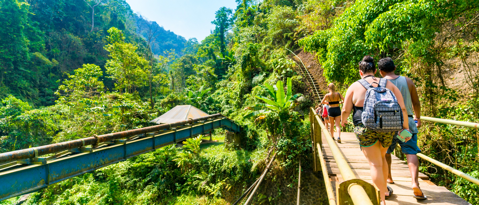 Backpackers walk a wooden path through dense tropical jungle in Bali on a sunny day.