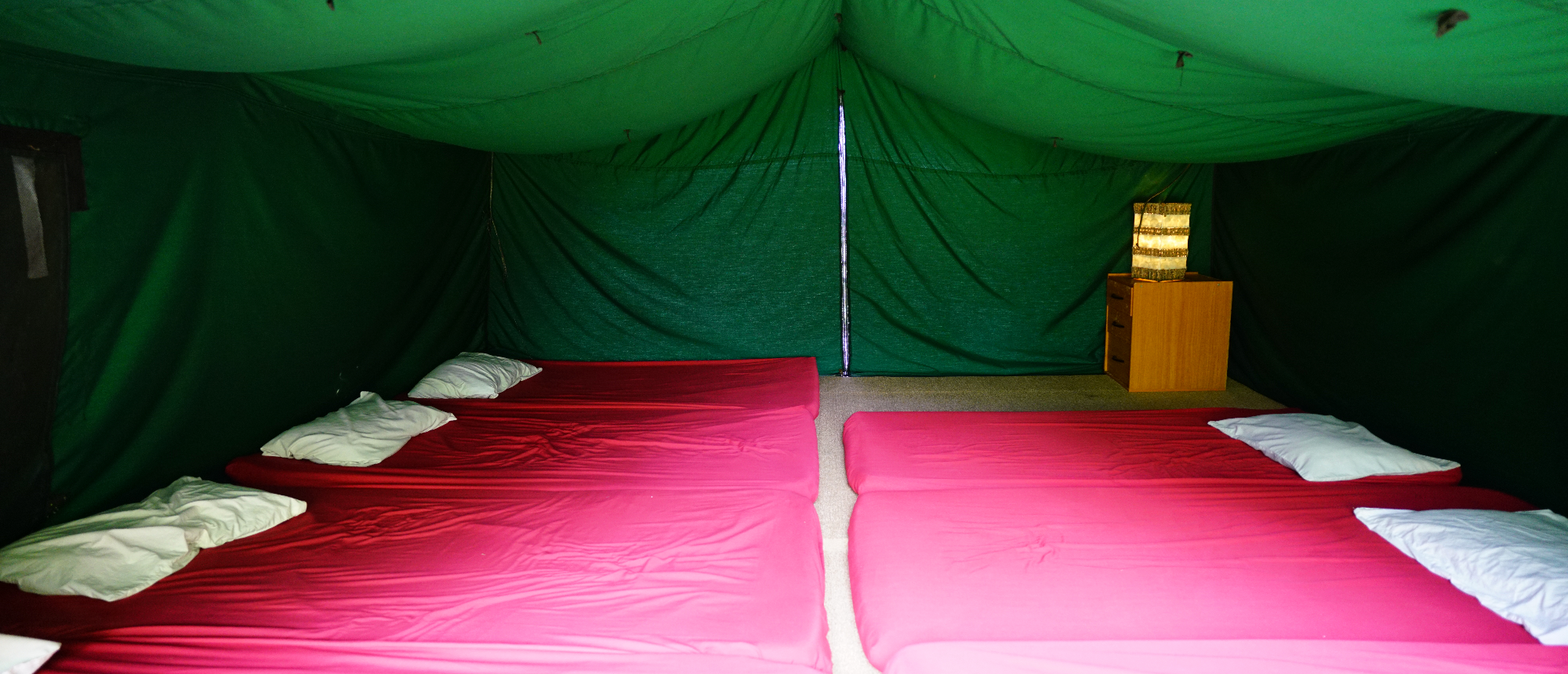 A spacious green tent interior with red mattresses and white pillows ready for campers in Bali.
