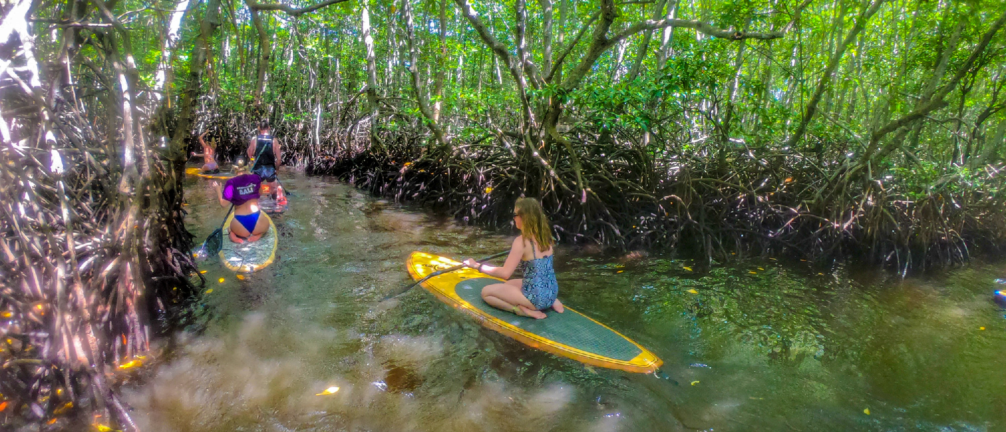 Travelers paddle stand-up paddleboards through the lush, winding mangrove forest of Nusa Lembongan.