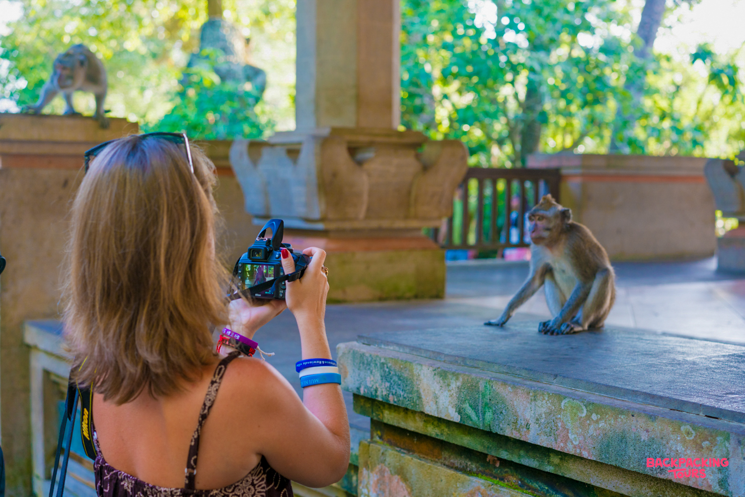 A woman photographs a playful monkey on a stone ledge in Ubud's Sacred Monkey Forest Sanctuary.