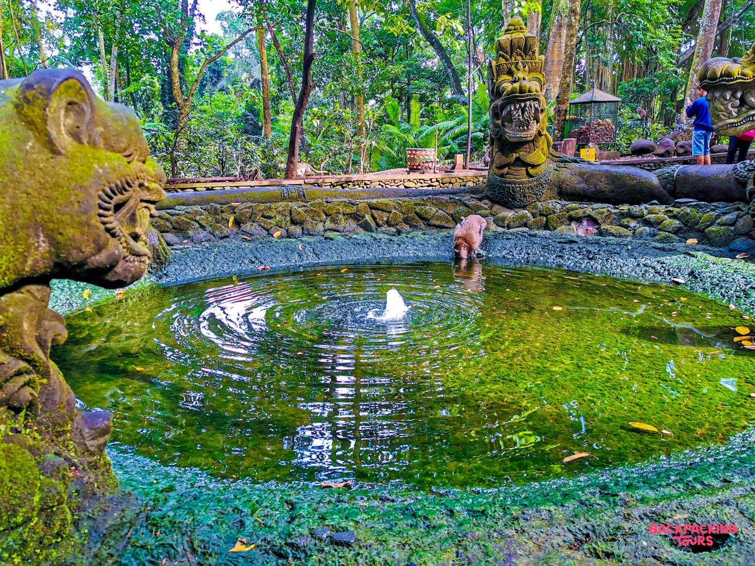 A monkey drinks from a mossy pond with ancient stone statues in Ubud's Sacred Monkey Forest Sanctuary.