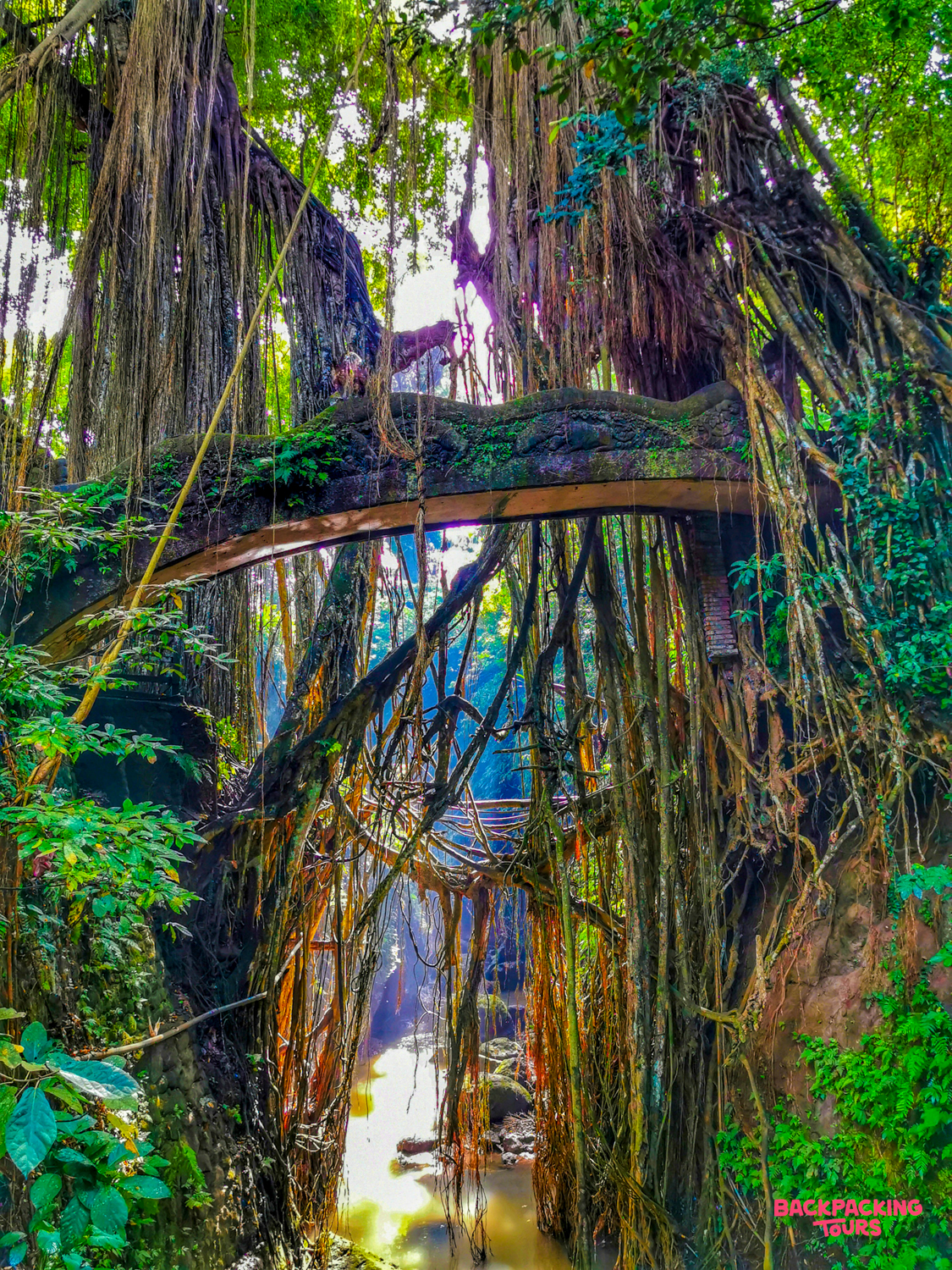 A serene wooden bridge spans a river beneath ancient banyan trees and hanging roots in Ubud.