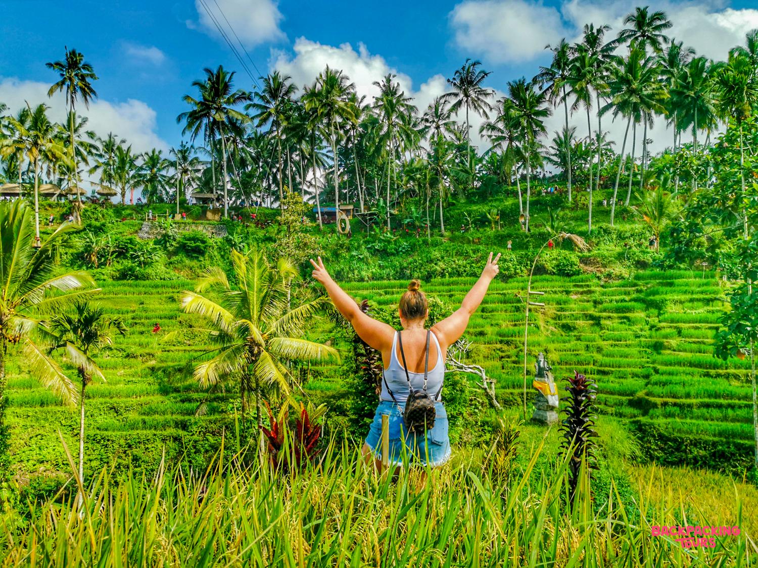 A traveler celebrates with arms raised, enjoying the beautiful green rice terraces and palm trees of Ubud.