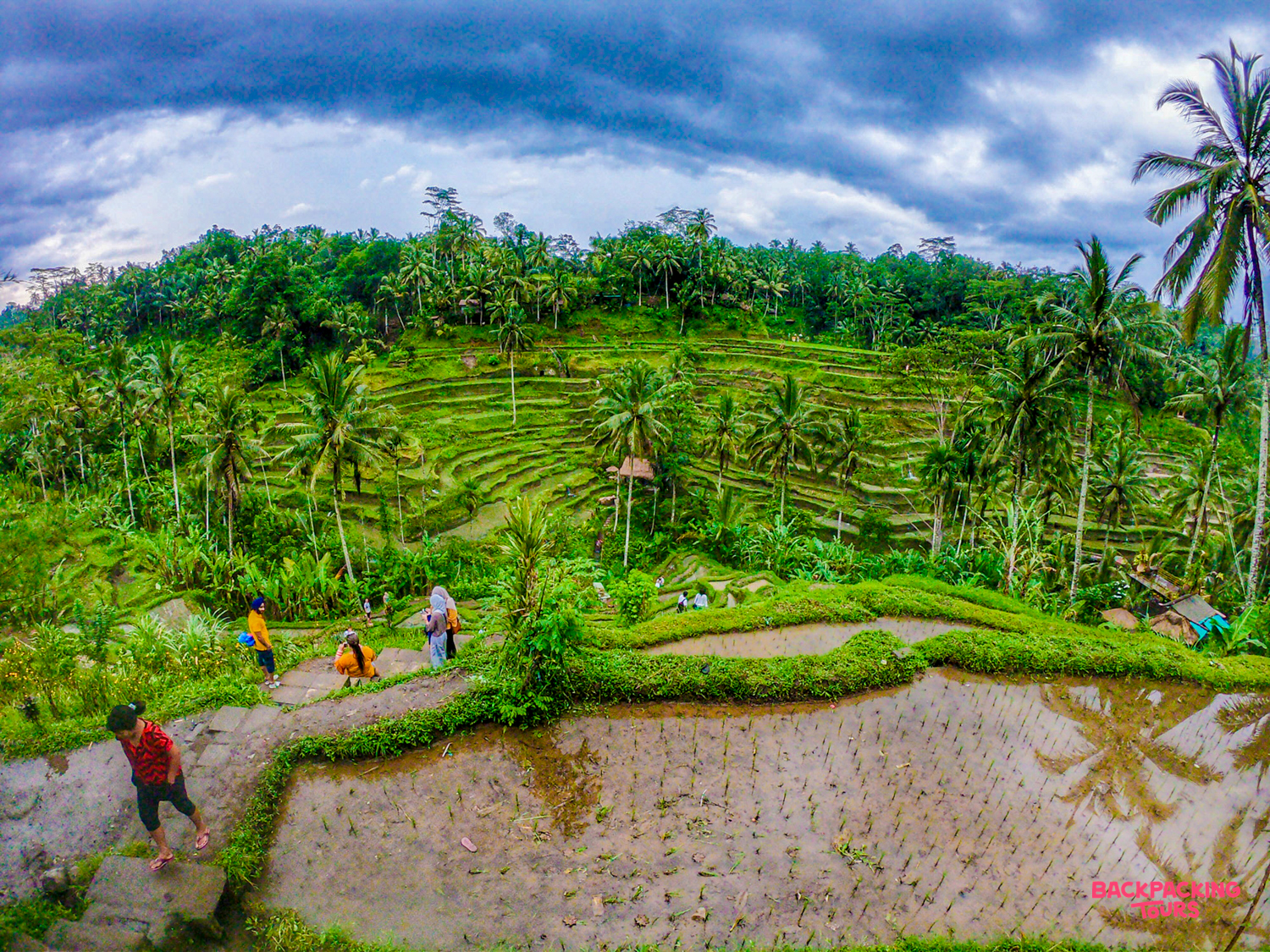 Tourists explore the vibrant green Tegallalang rice terraces under a dramatic sky in Bali.