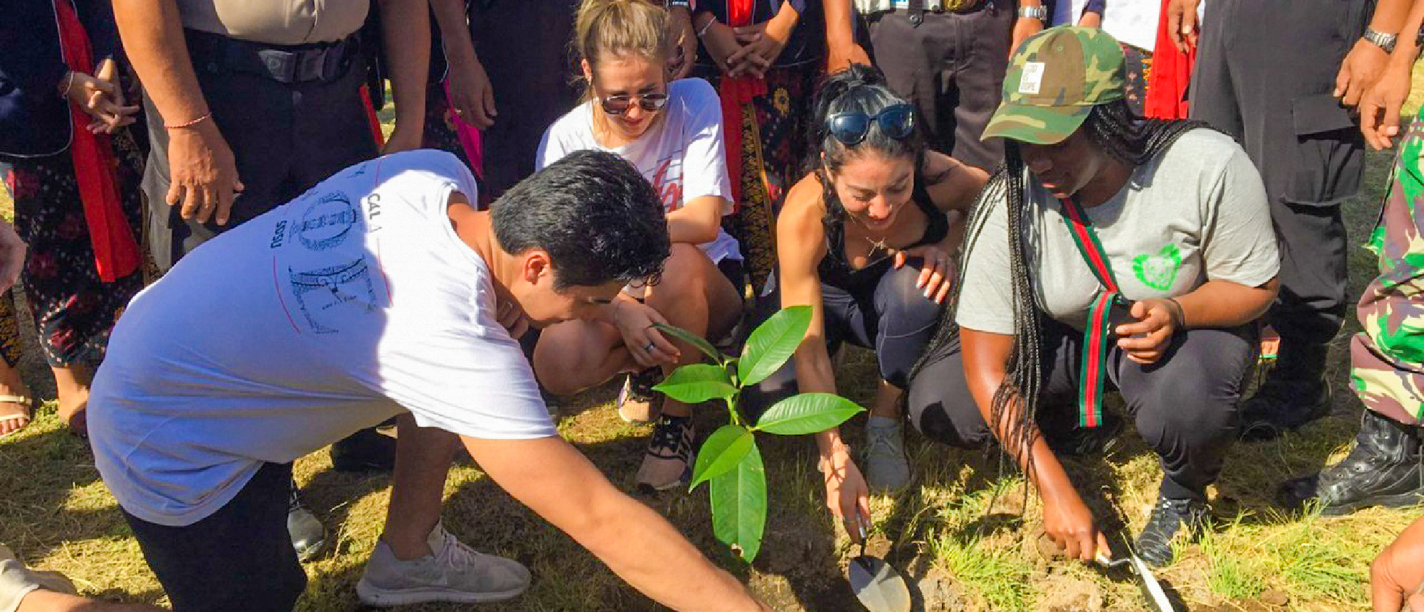 Travellers collaboratively planting a small tree in a grassy area, likely during an environmental program in Bali.