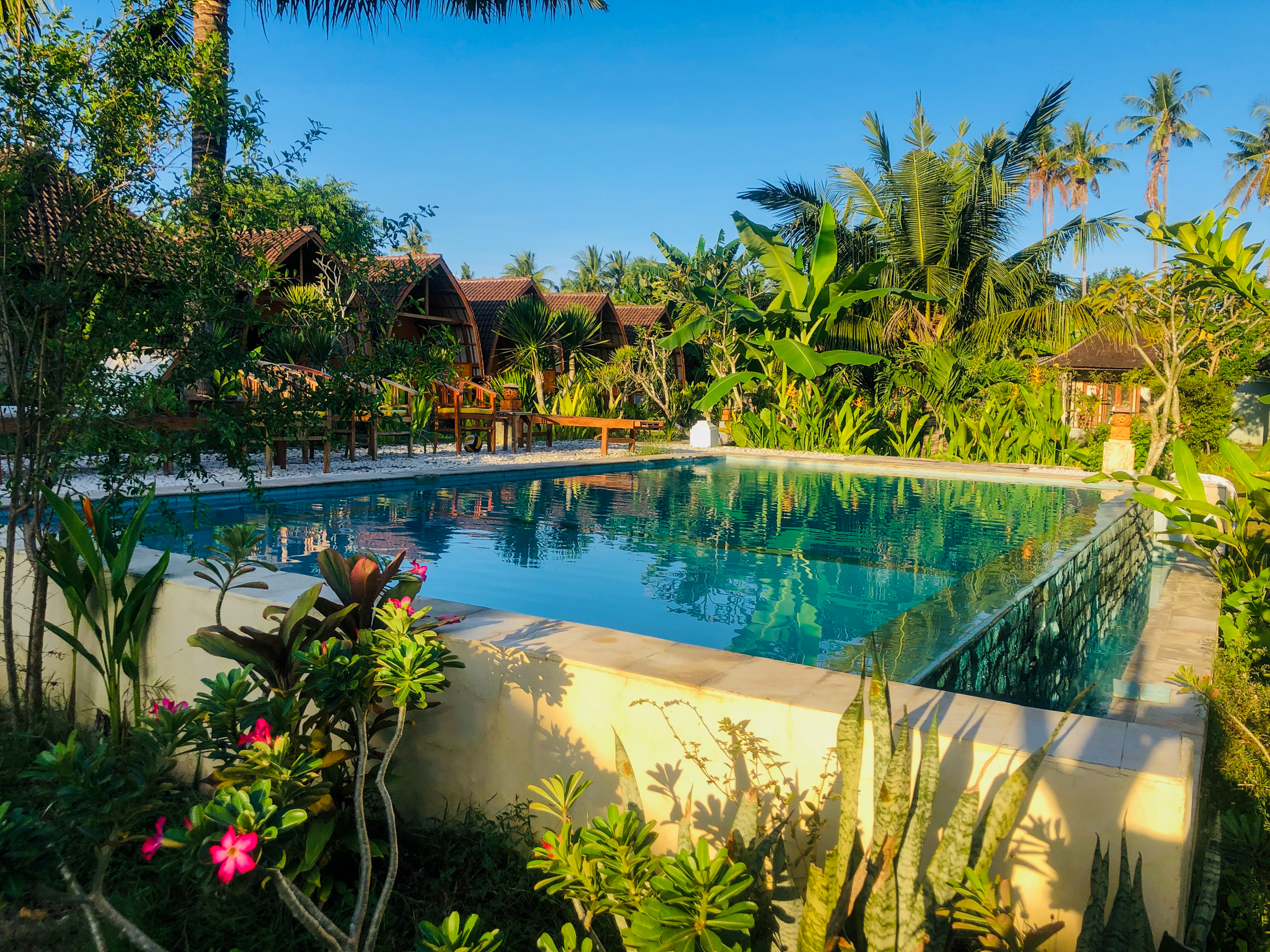A serene swimming pool surrounded by lush tropical plants and traditional bungalows in Bali.
