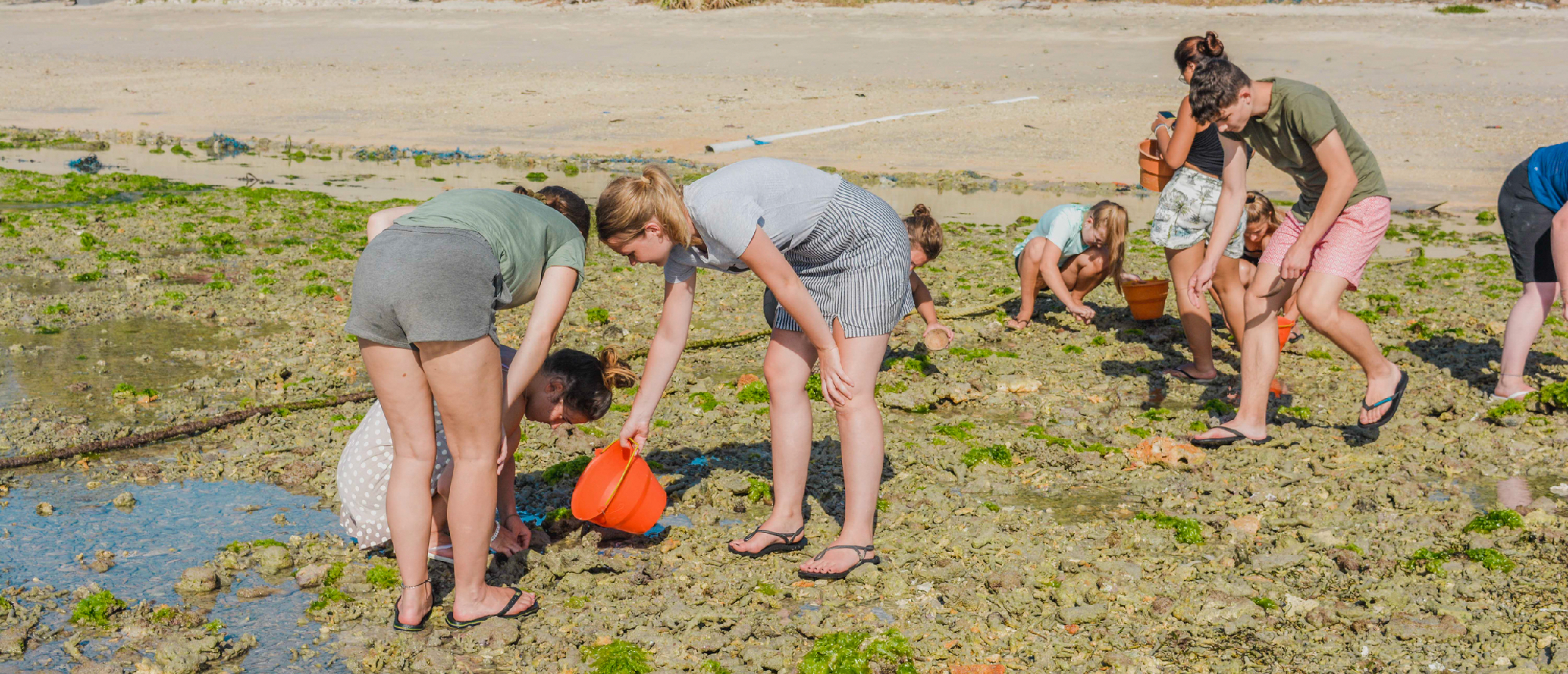 Young volunteers actively clean a seaweed-covered beach on Nusa Penida for a conservation project.