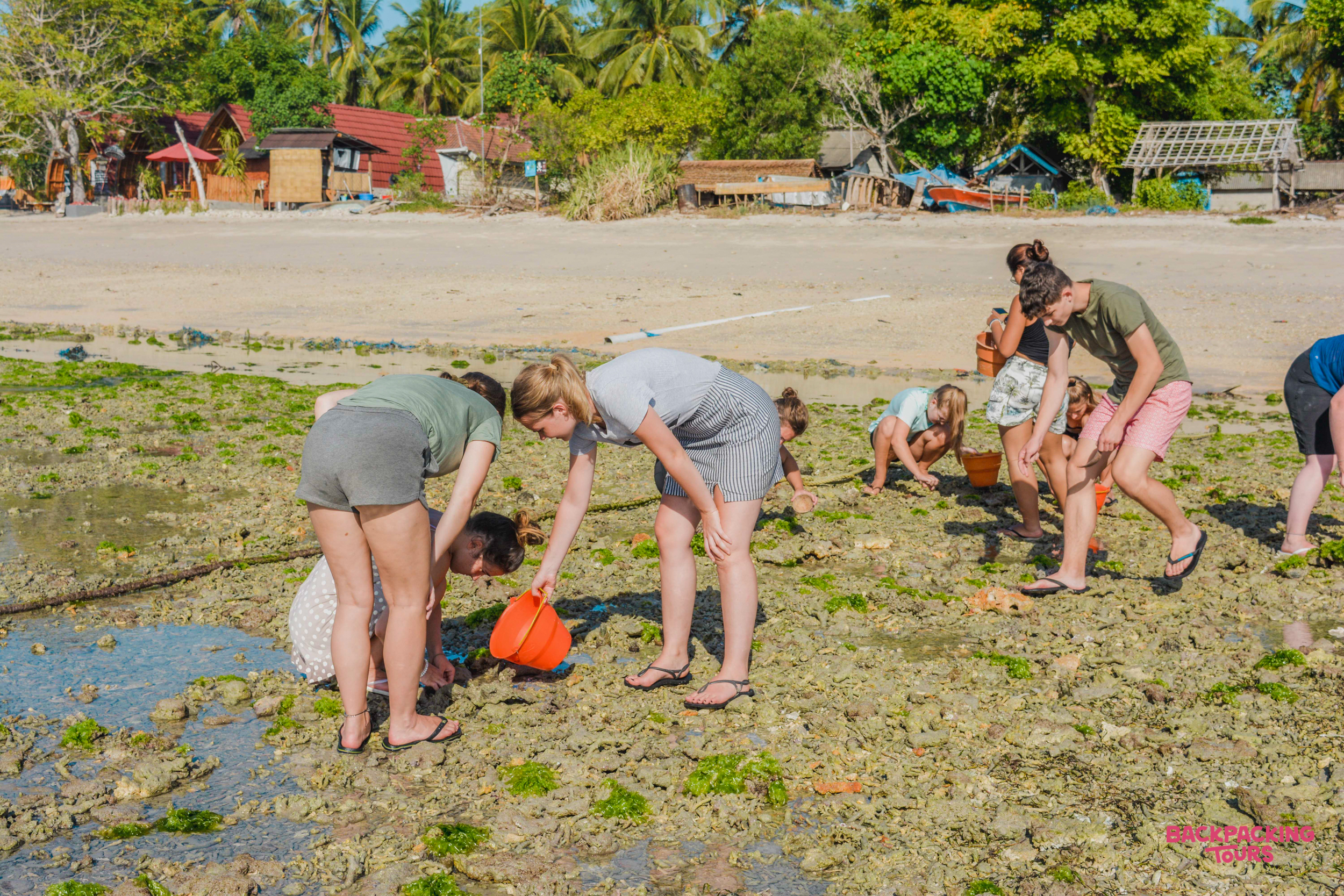 Tourists on Nusa Penida beach carefully examine the low tide area, searching for marine life.