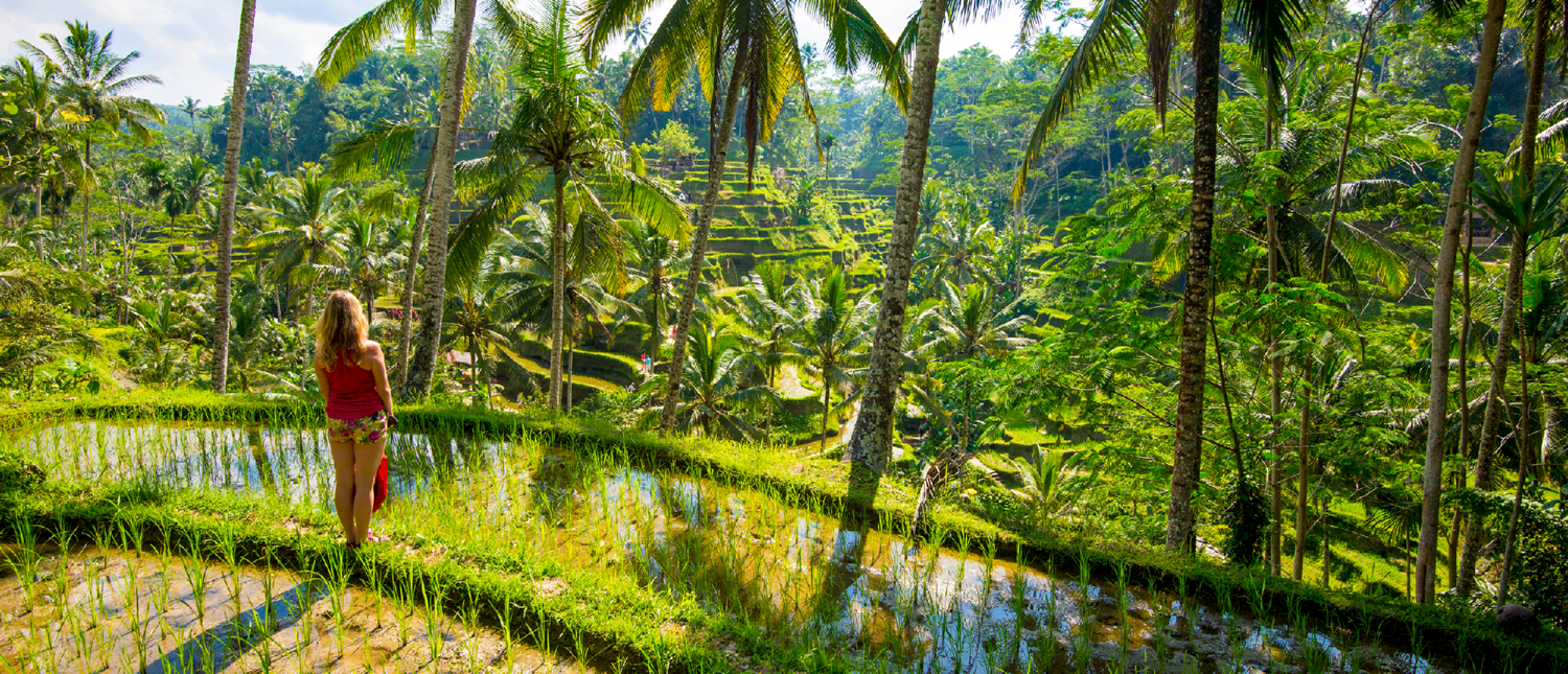 A woman stands admiring the vibrant green rice terraces and lush jungle in Ubud, Bali.